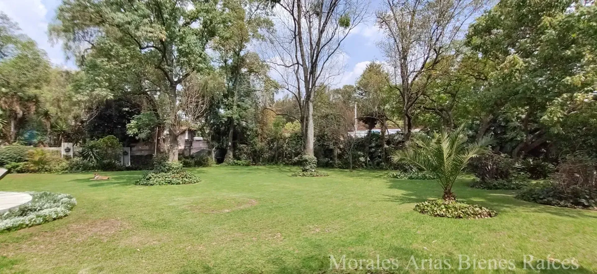 casa en olivar del conde, Ciudad de México 10948408