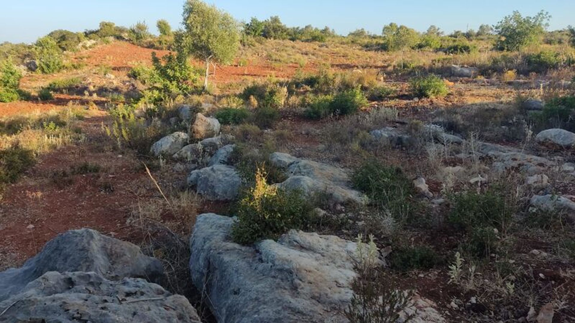 Tierra en moncarapacho, Faraón 10948423