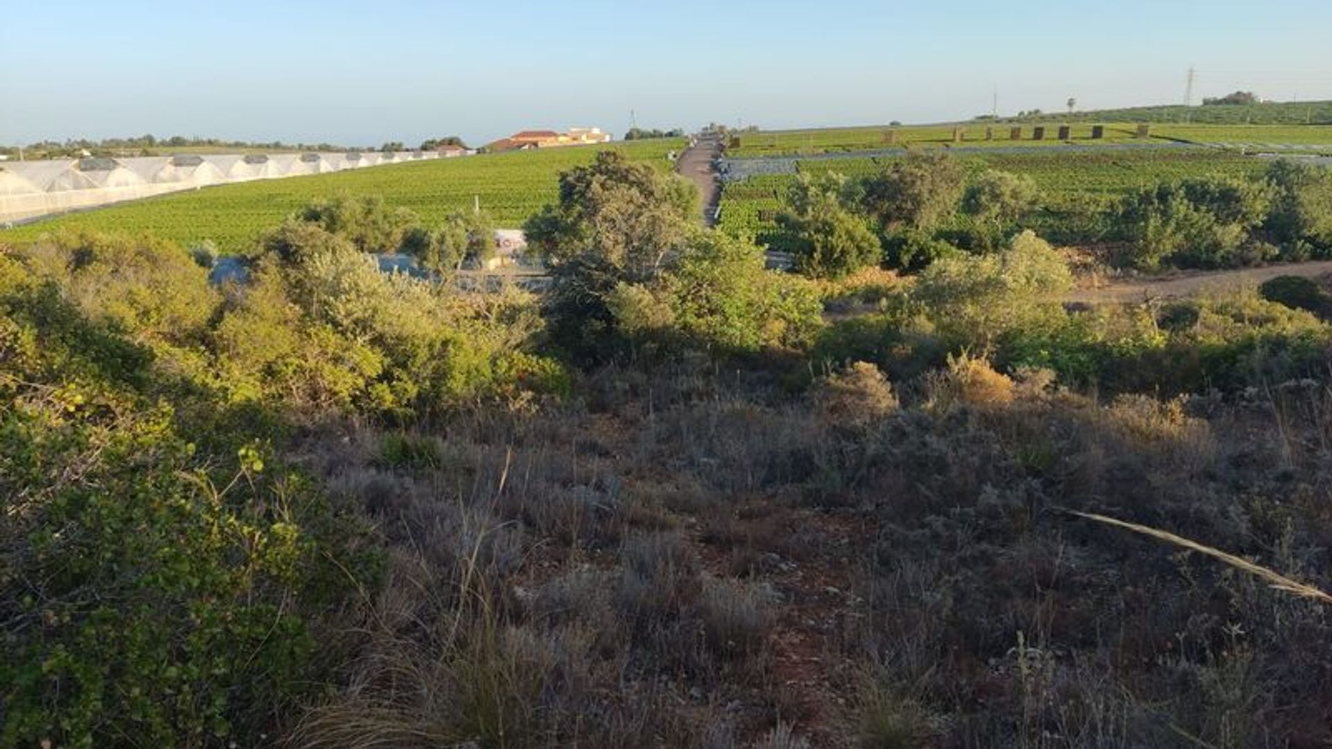 Tierra en moncarapacho, Faraón 10948423