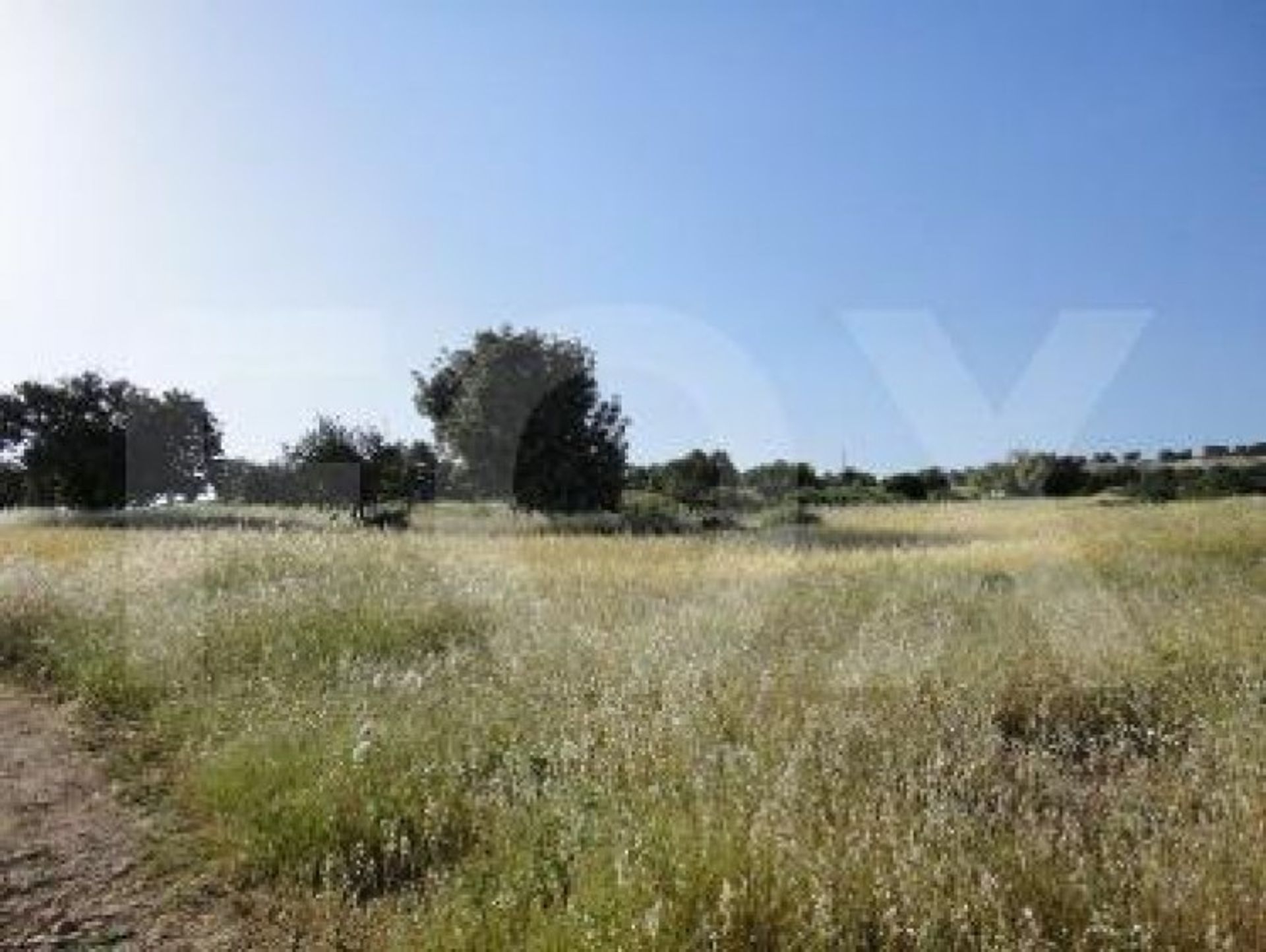 Land im Soularavia, Lemesos 10948675