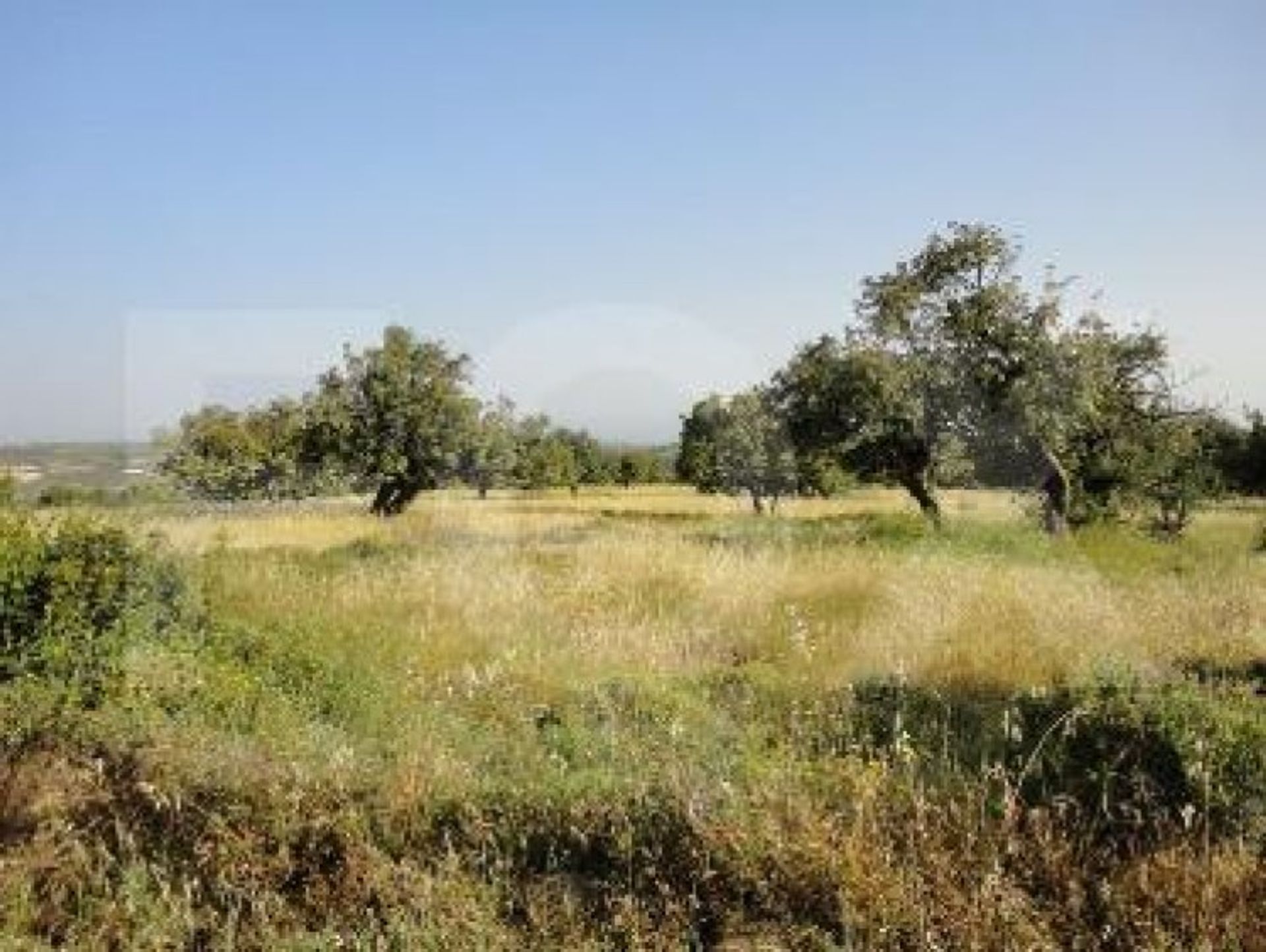 Land im Soularavia, Lemesos 10948675