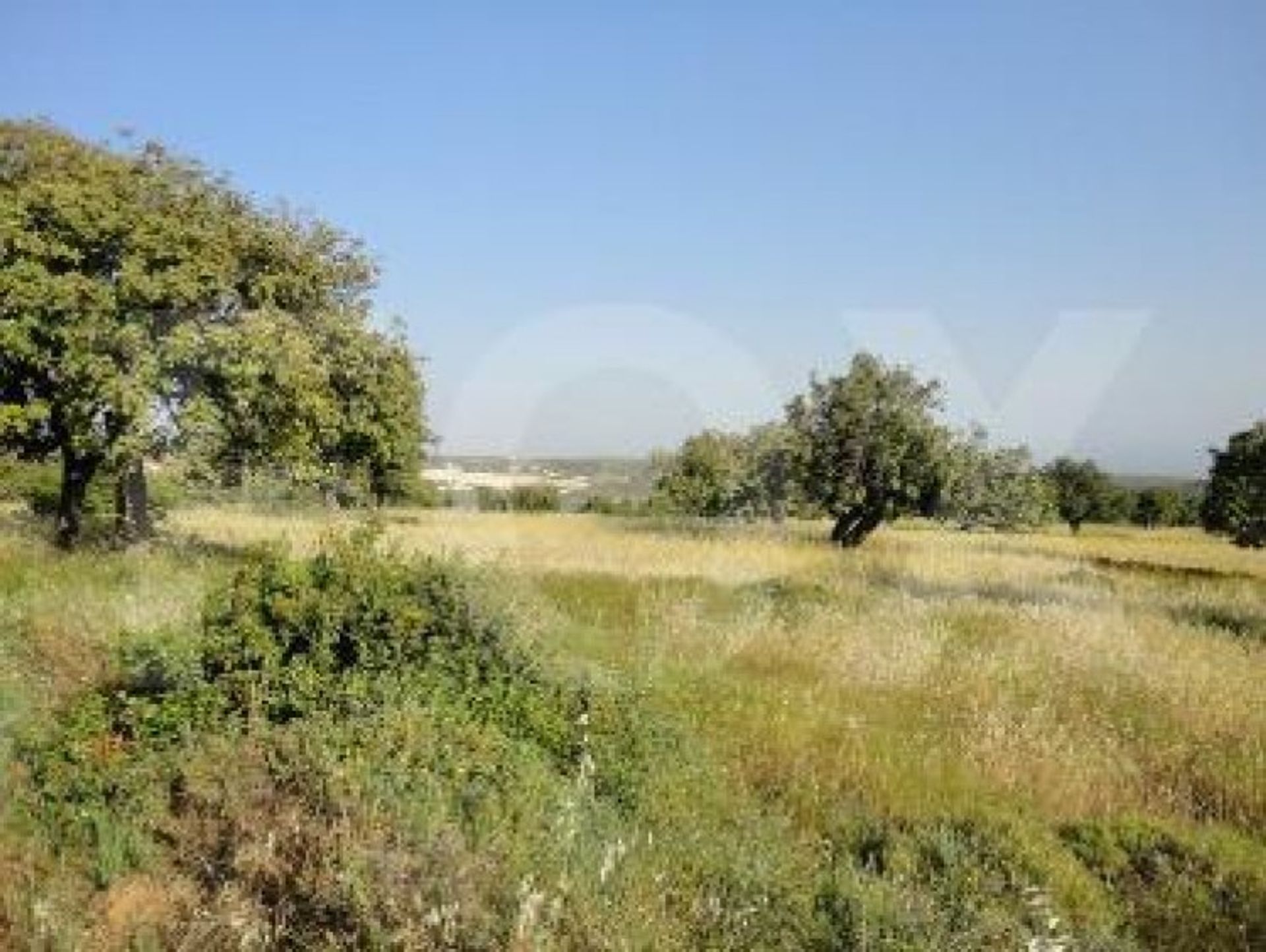 Land im Soularavia, Lemesos 10948675