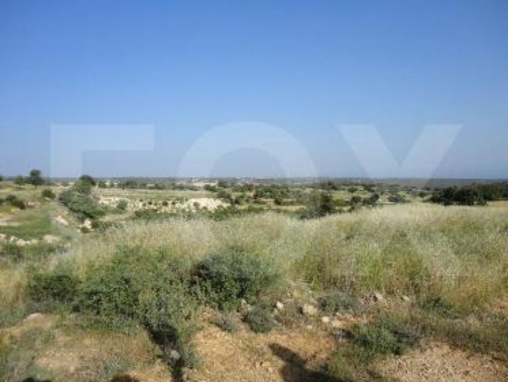 Land im Soularavia, Lemesos 10948675