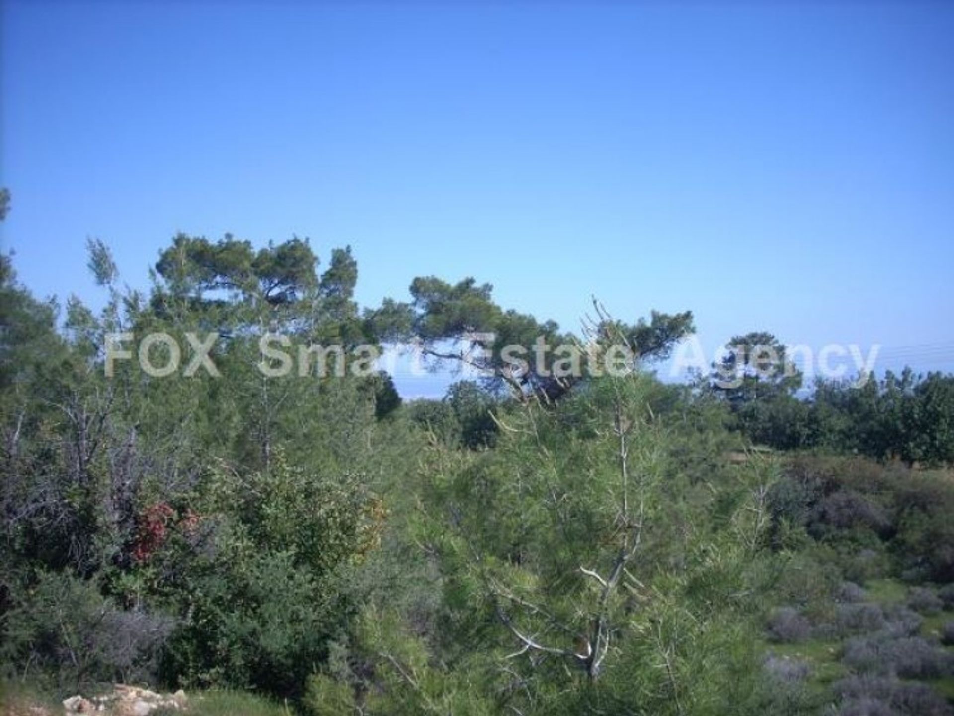 Land im Soularavia, Lemesos 10948765