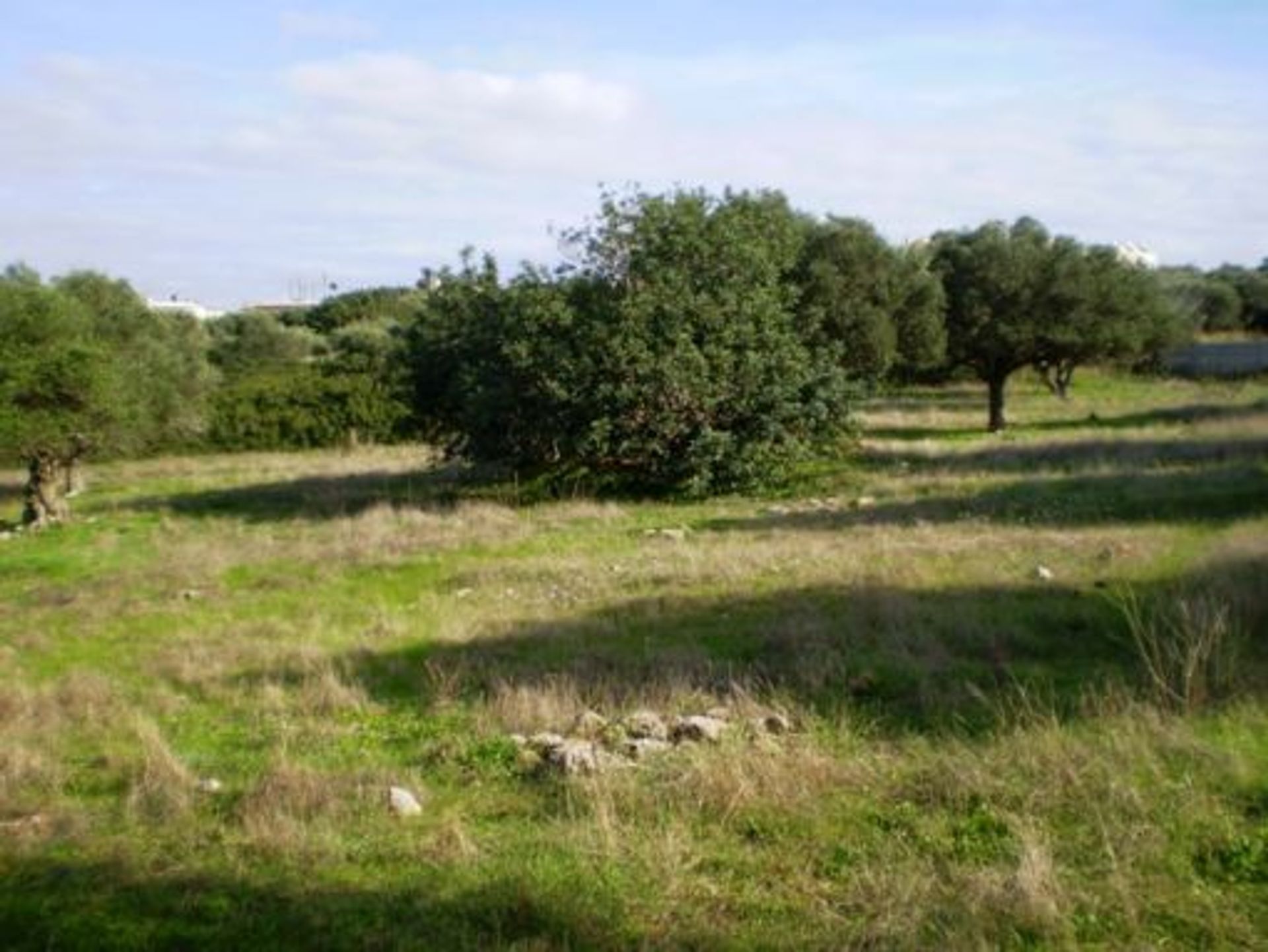 Land in Chorafakia,  10948937