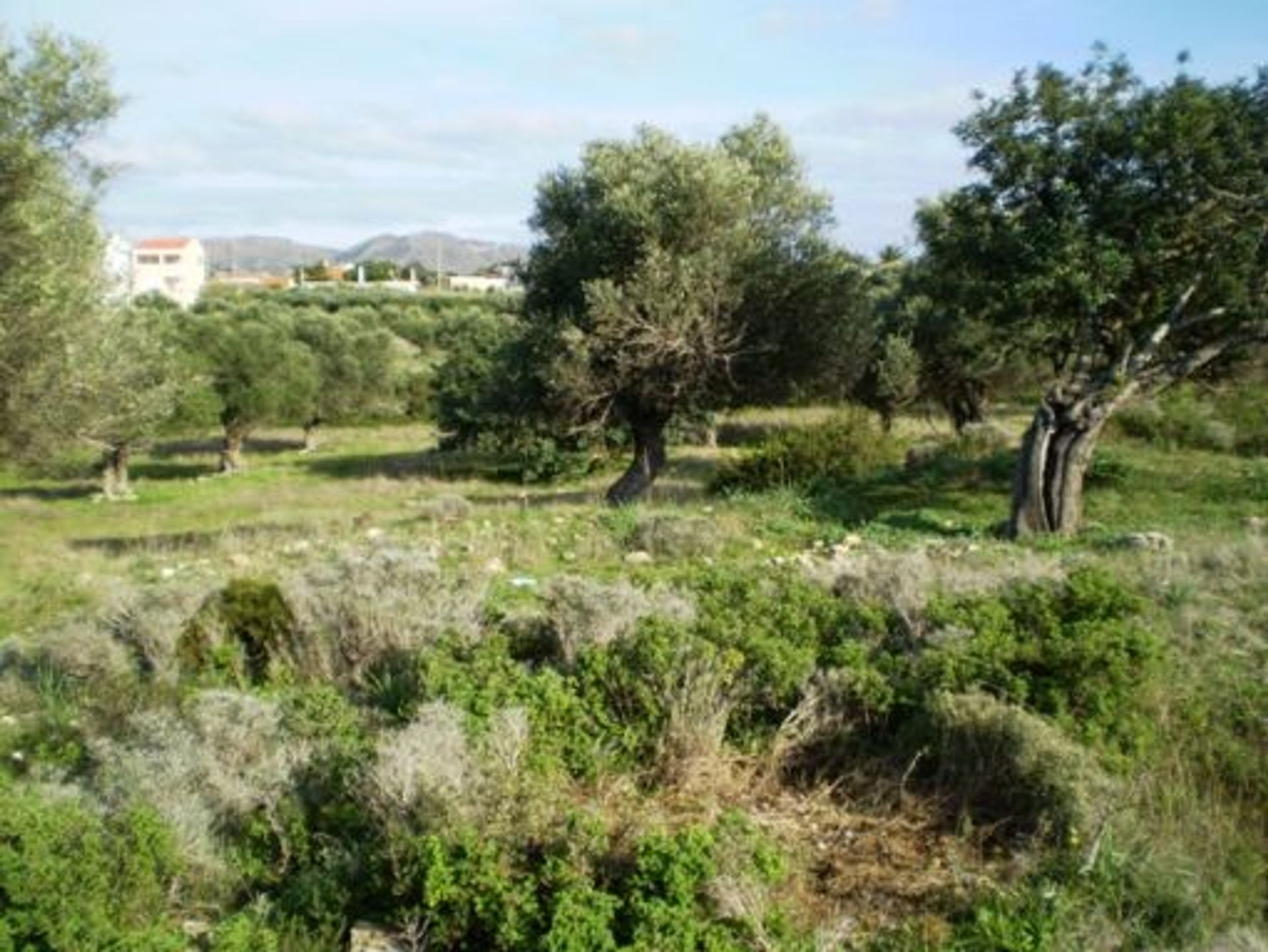 Land in Chorafakia,  10948937