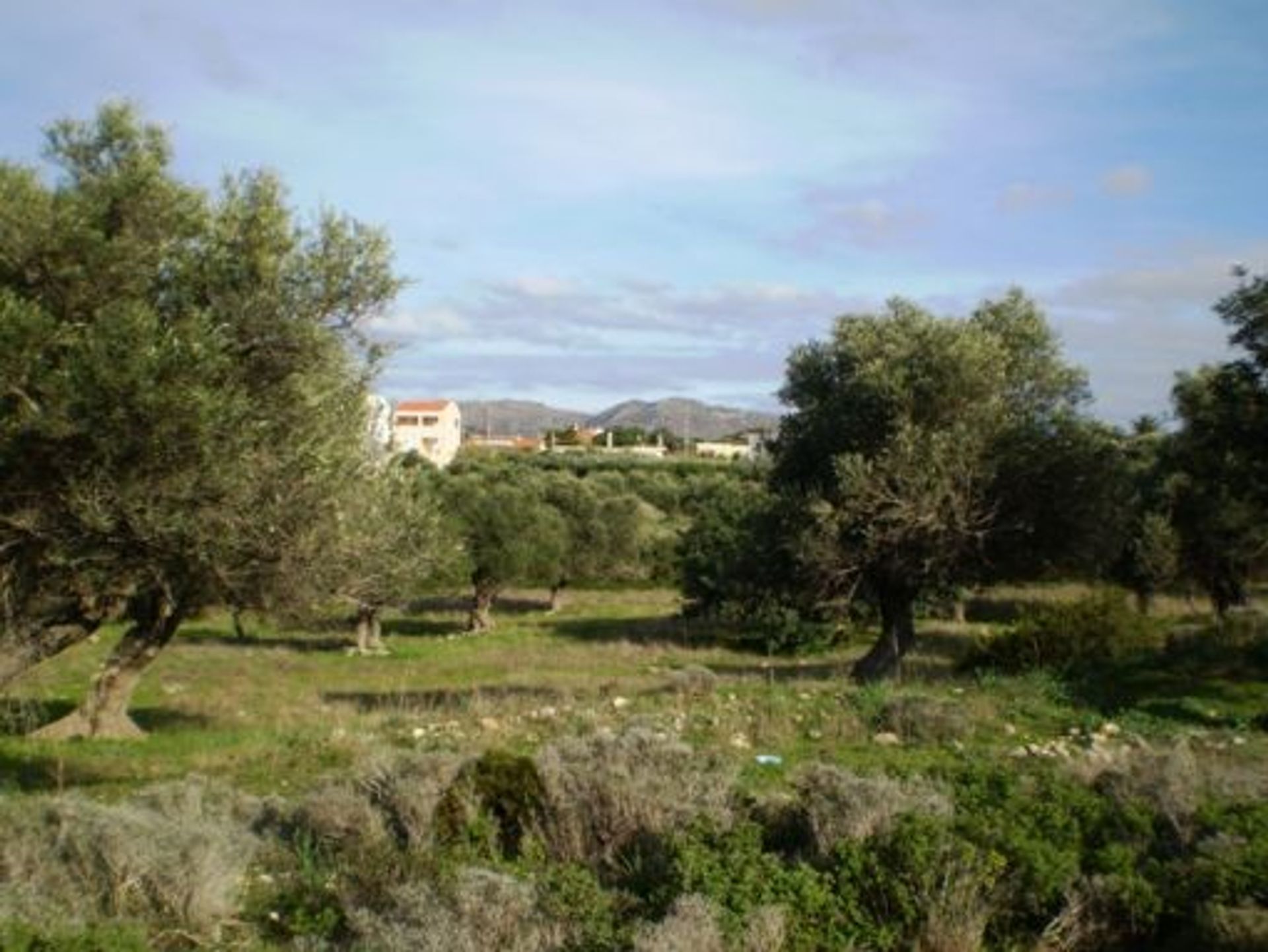 Land in Chorafakia,  10948937