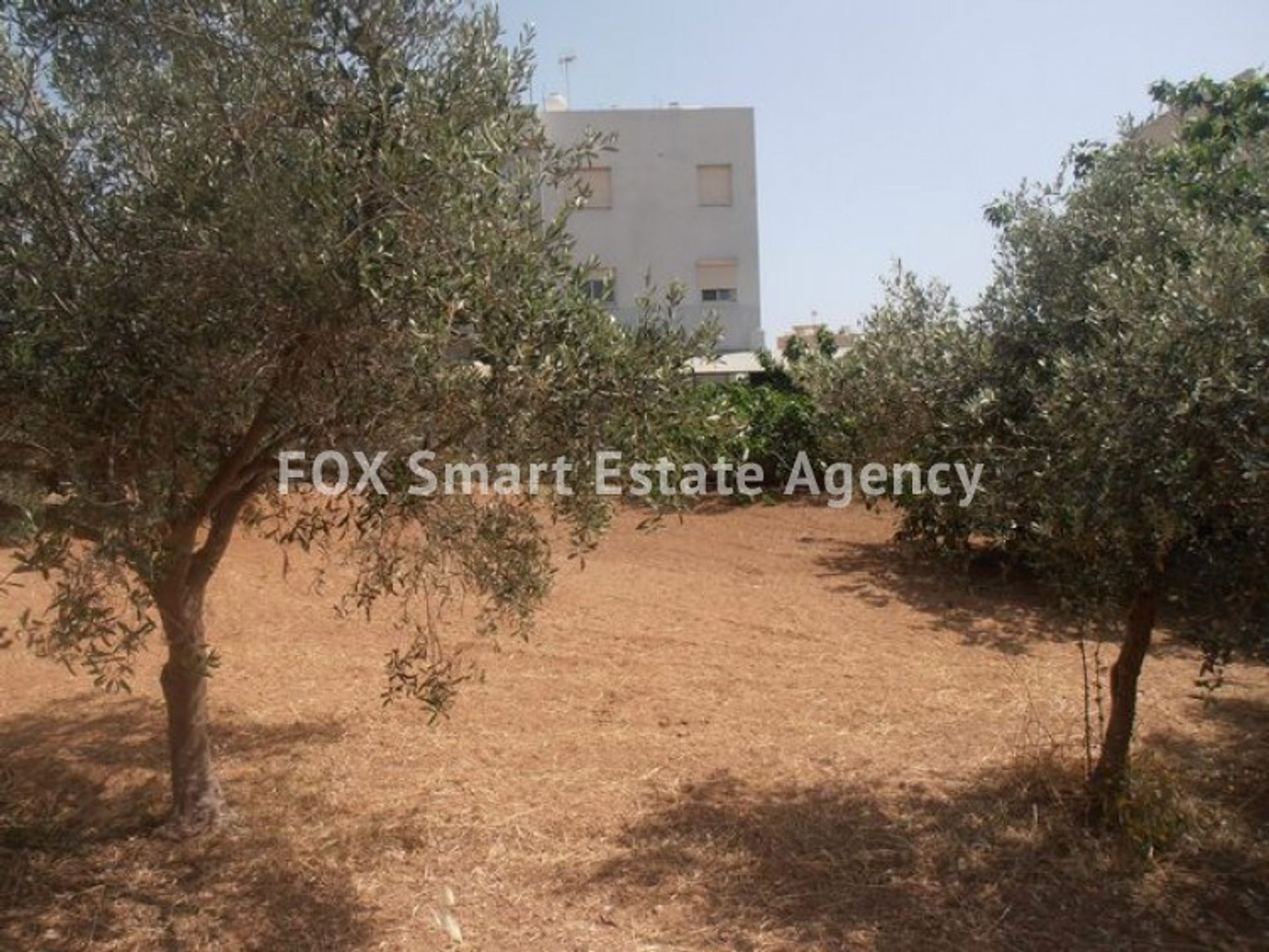 Land im Limassol, Lemesos 10948991