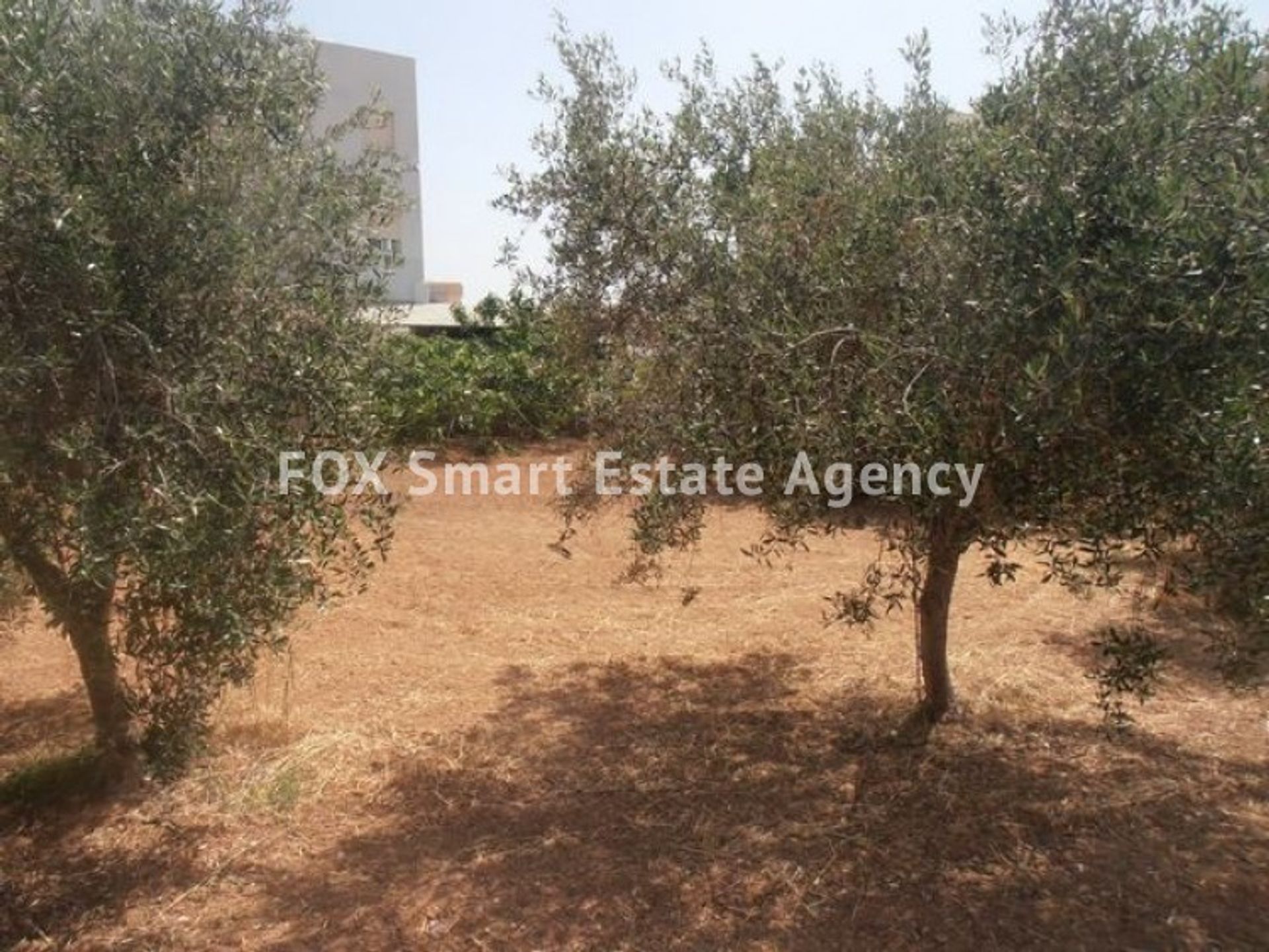 Land im Limassol, Lemesos 10948991