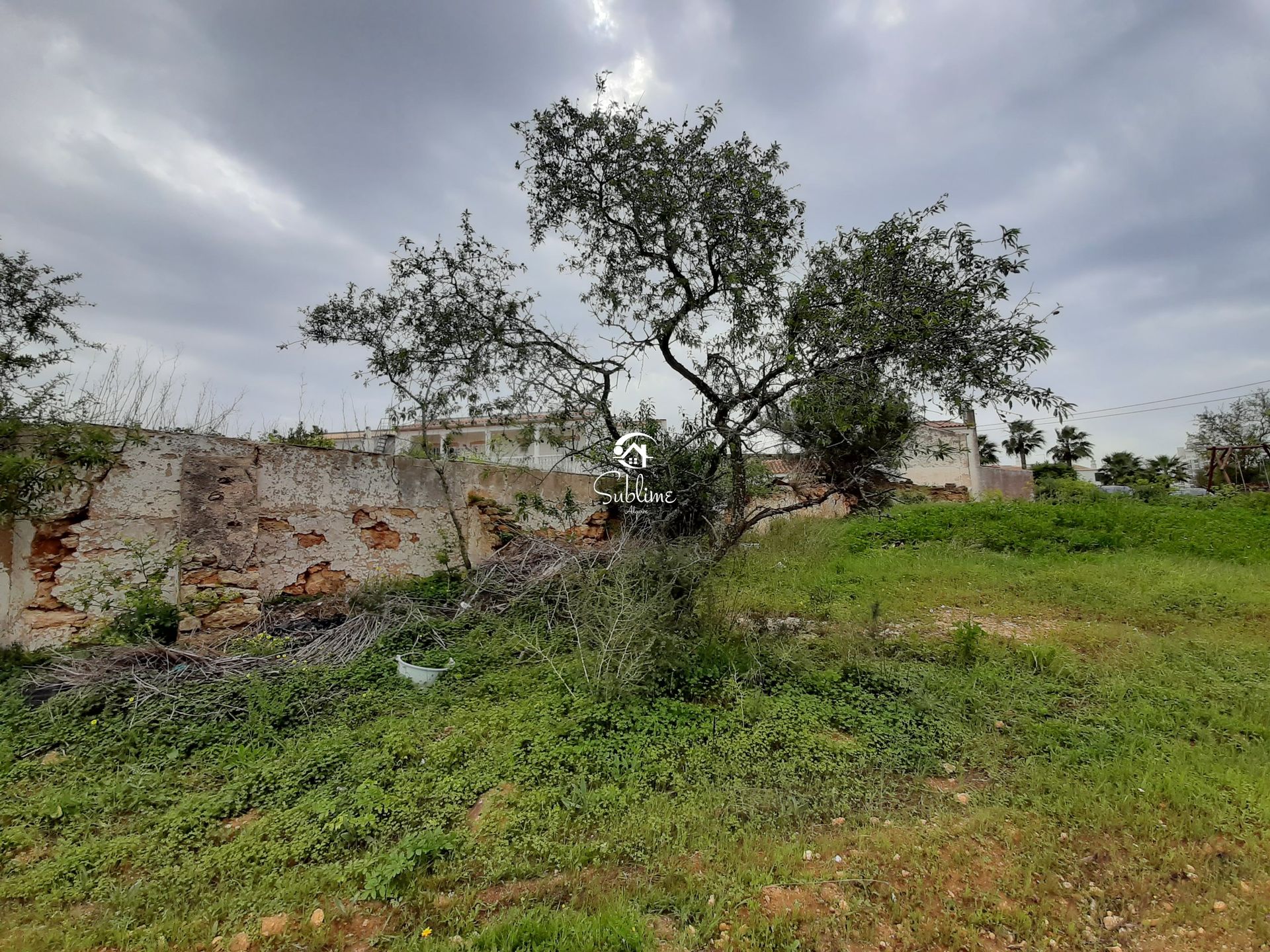 Jord i Armação de Pêra, Faro 10949018