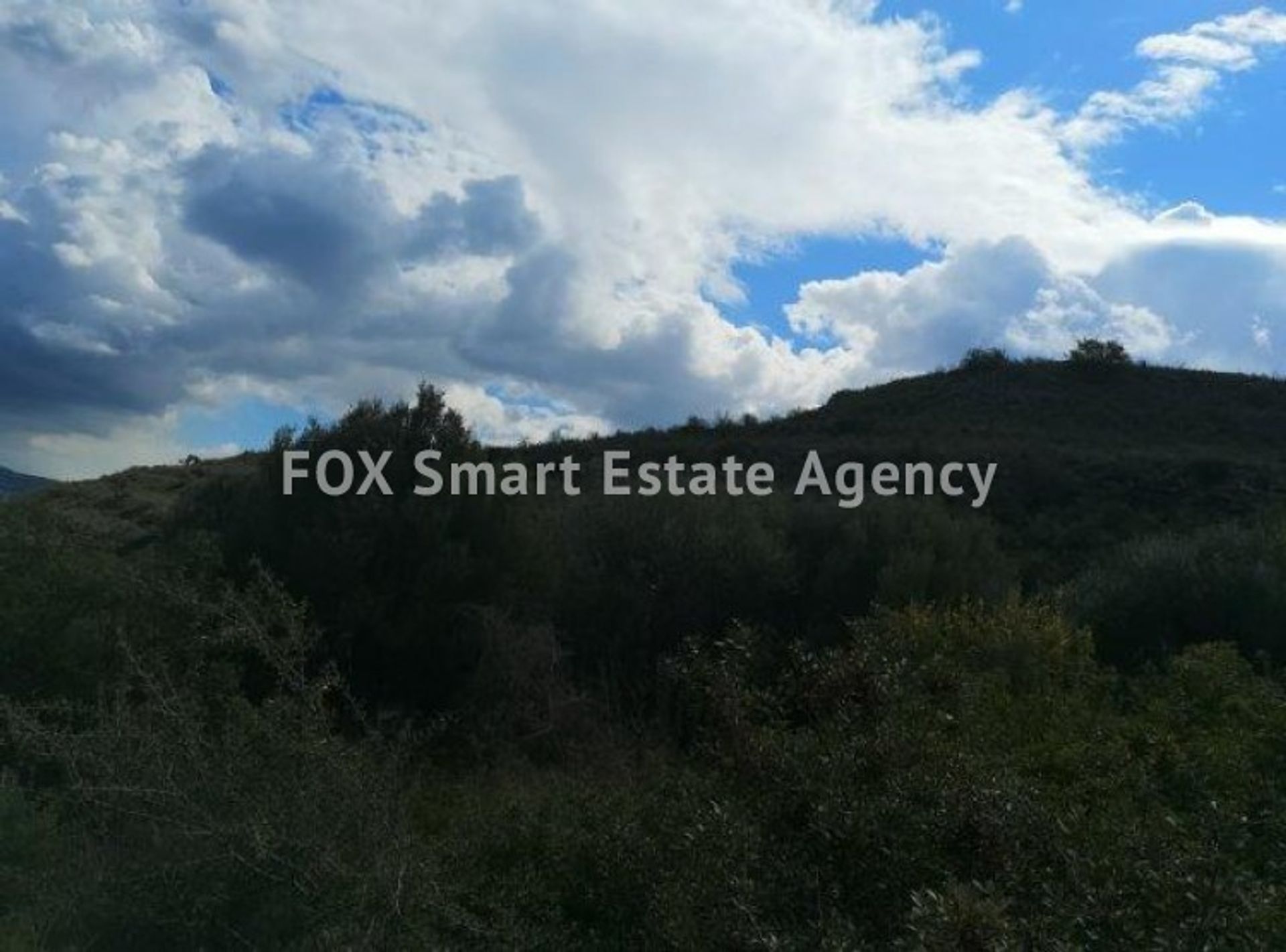 Land in Palodia, Limassol 10949557