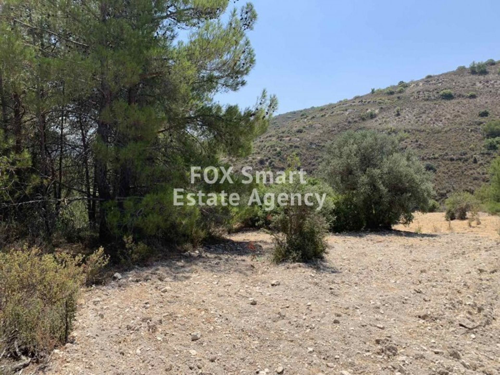 Land in Palodeia, Lemesos 10949892