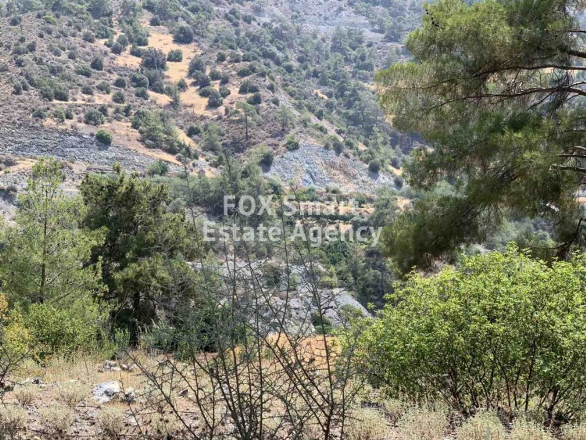 Land in Palodeia, Lemesos 10949897