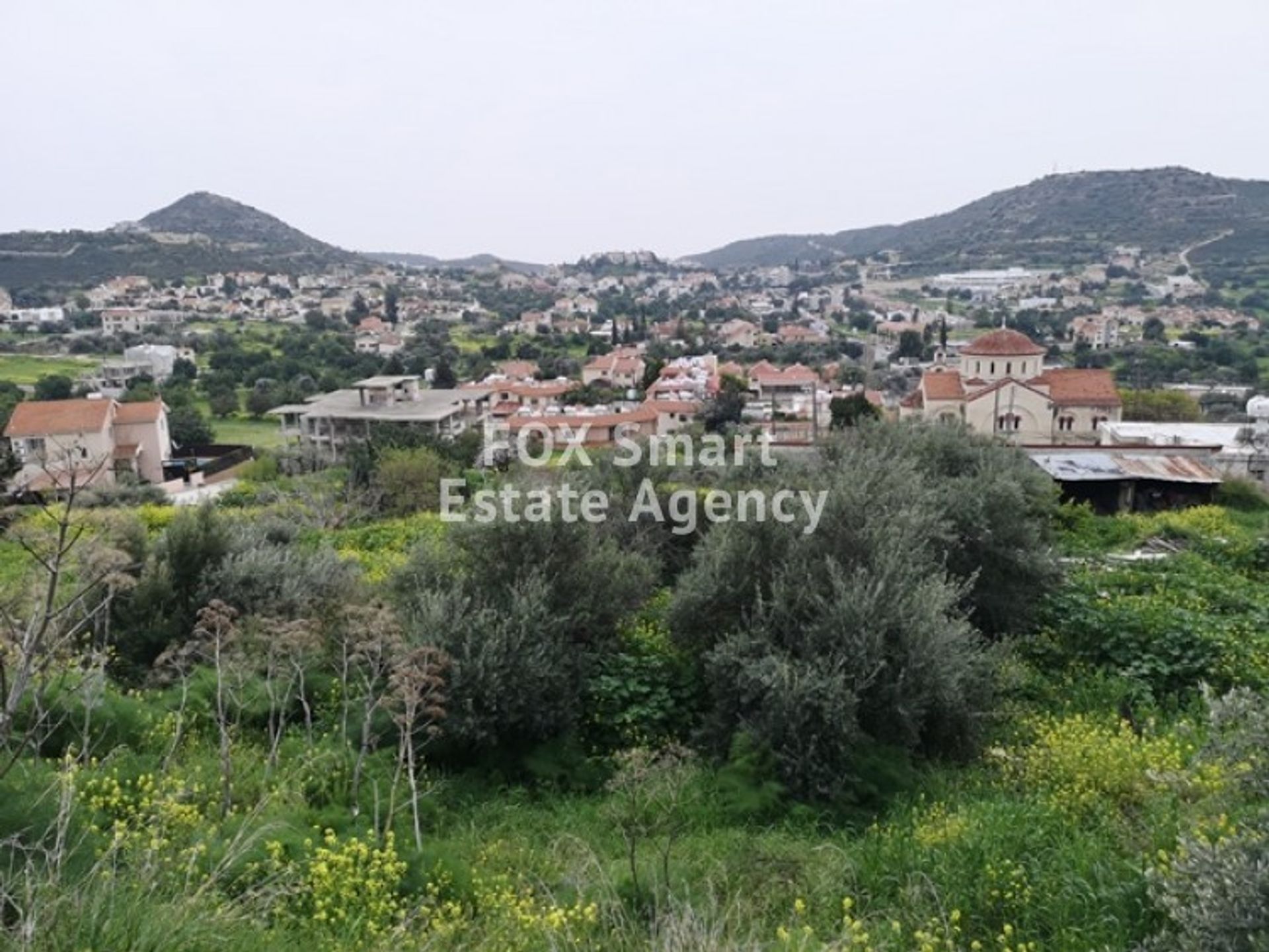 Land in Palodeia, Lemesos 10949911