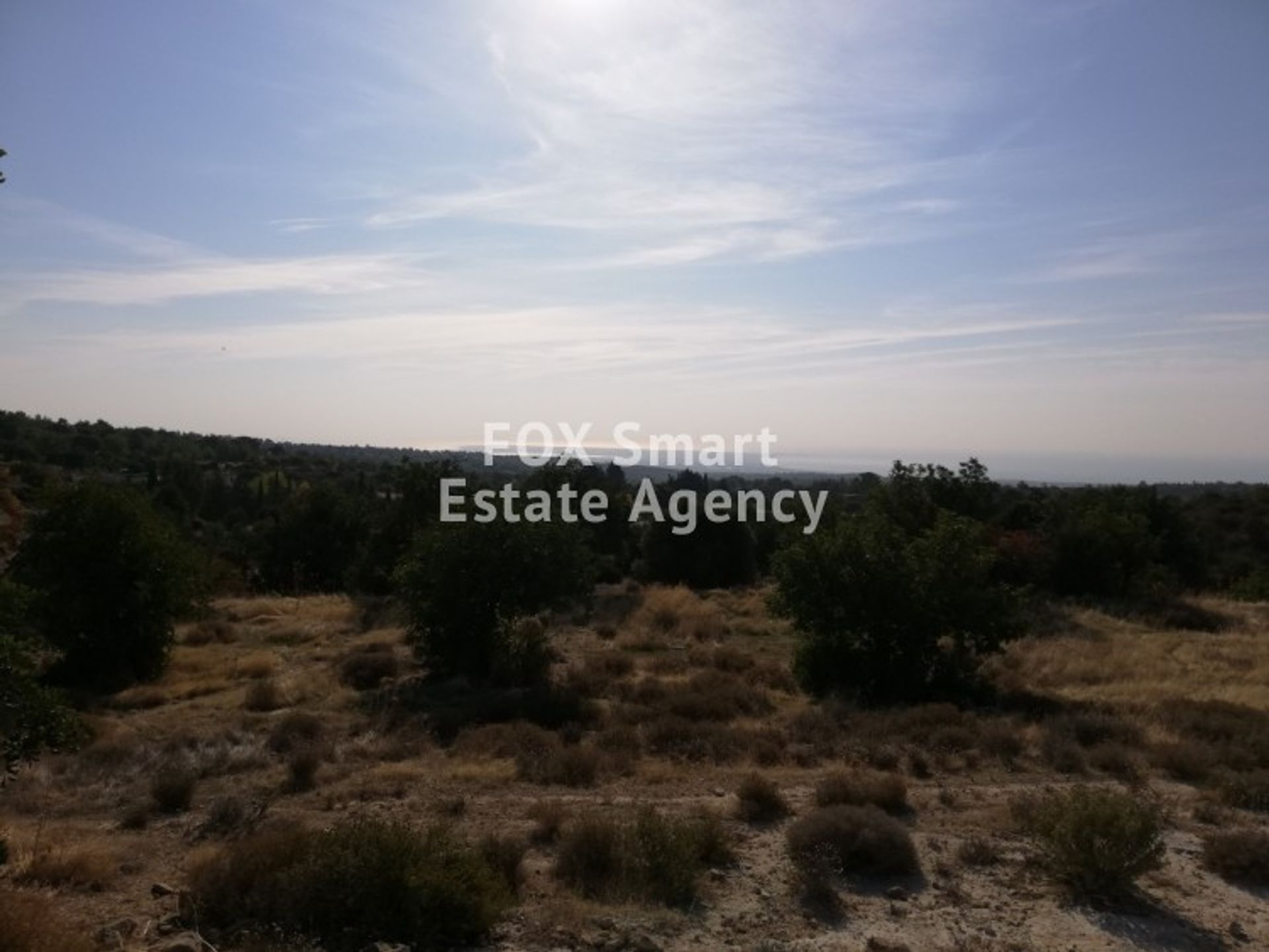 Land im Palodeia, Lemesos 10950025