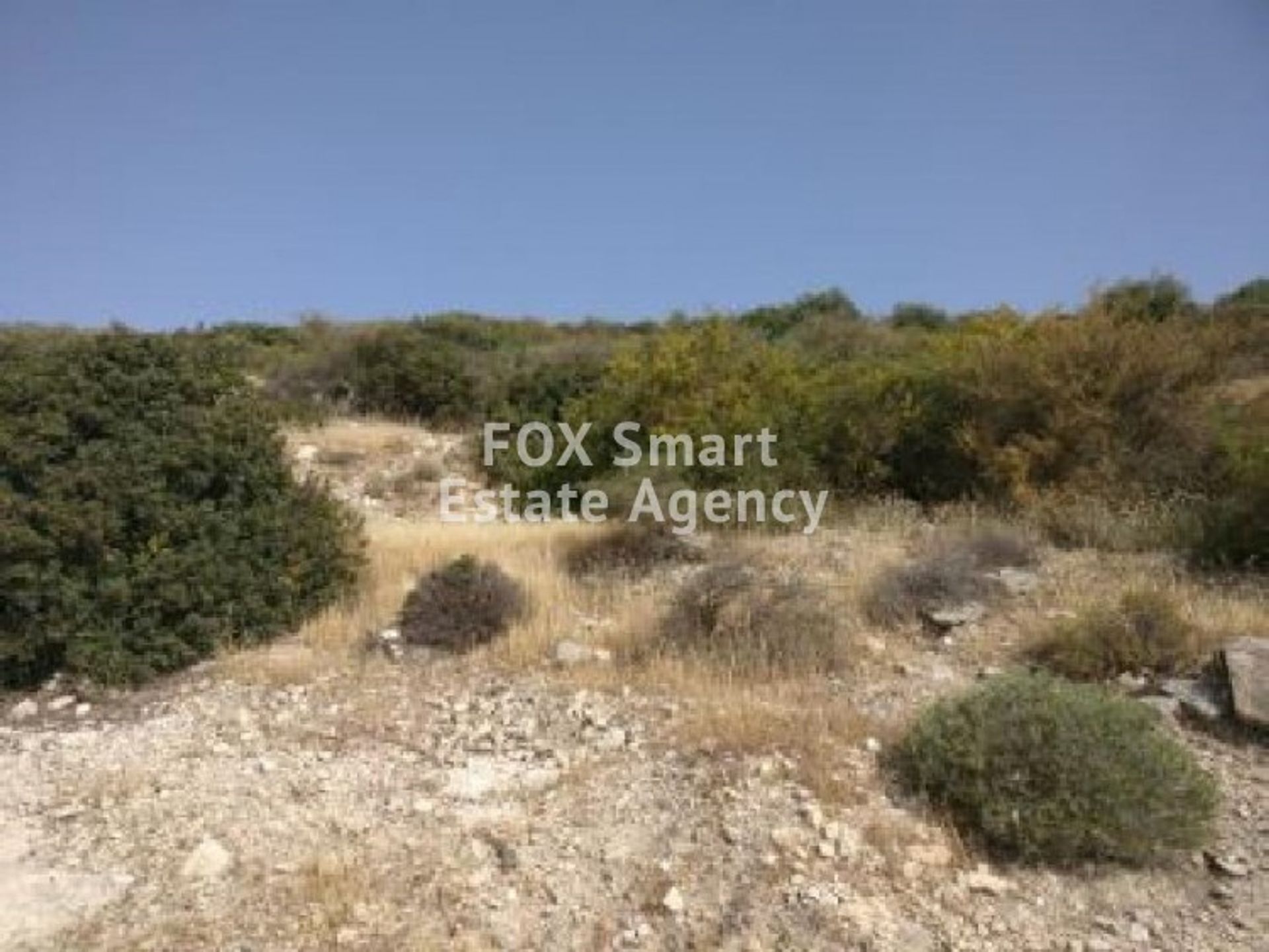 Land in Palodeia, Lemesos 10950204