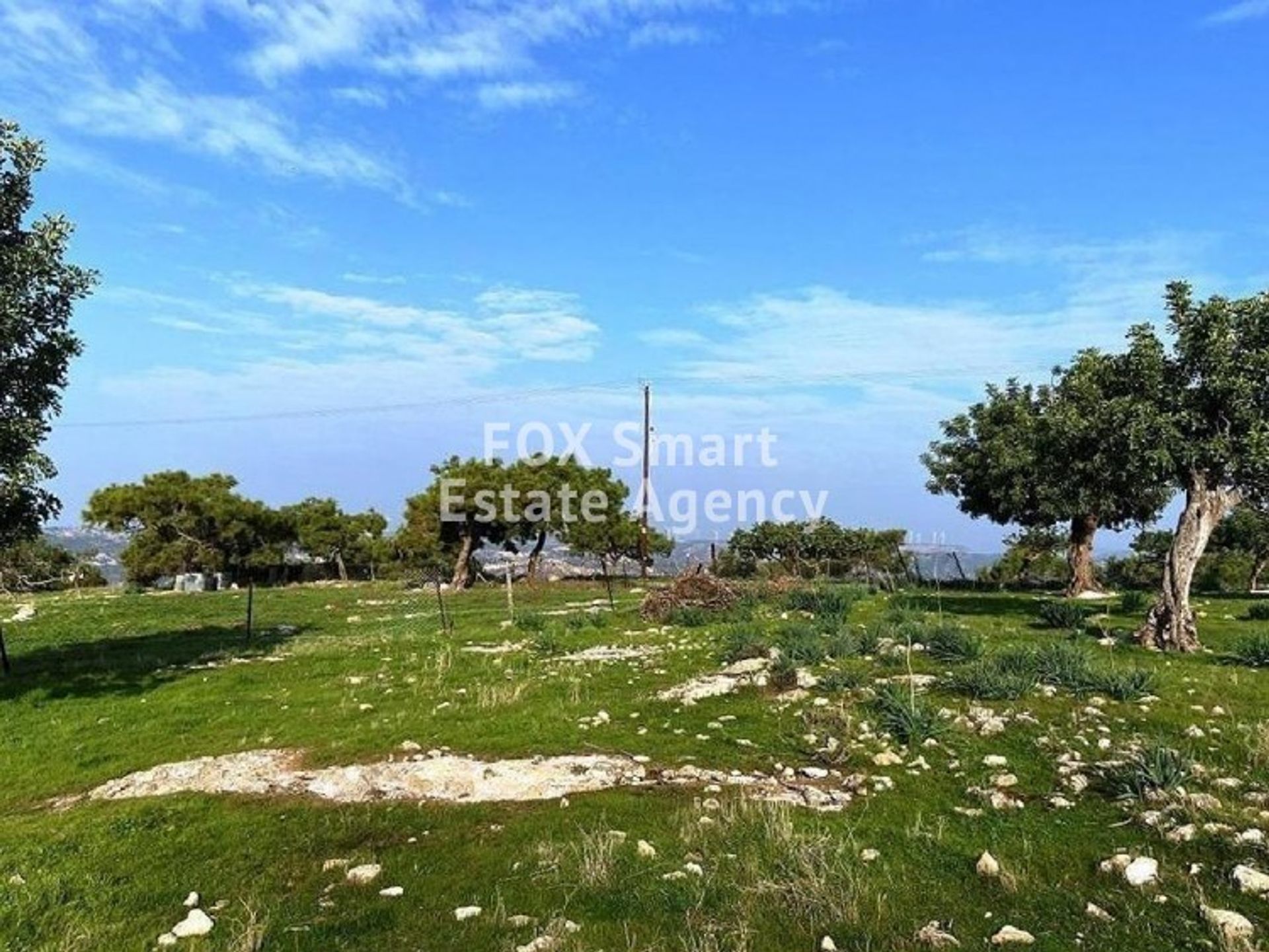 Land im Pampoula, Lemesos 10950271