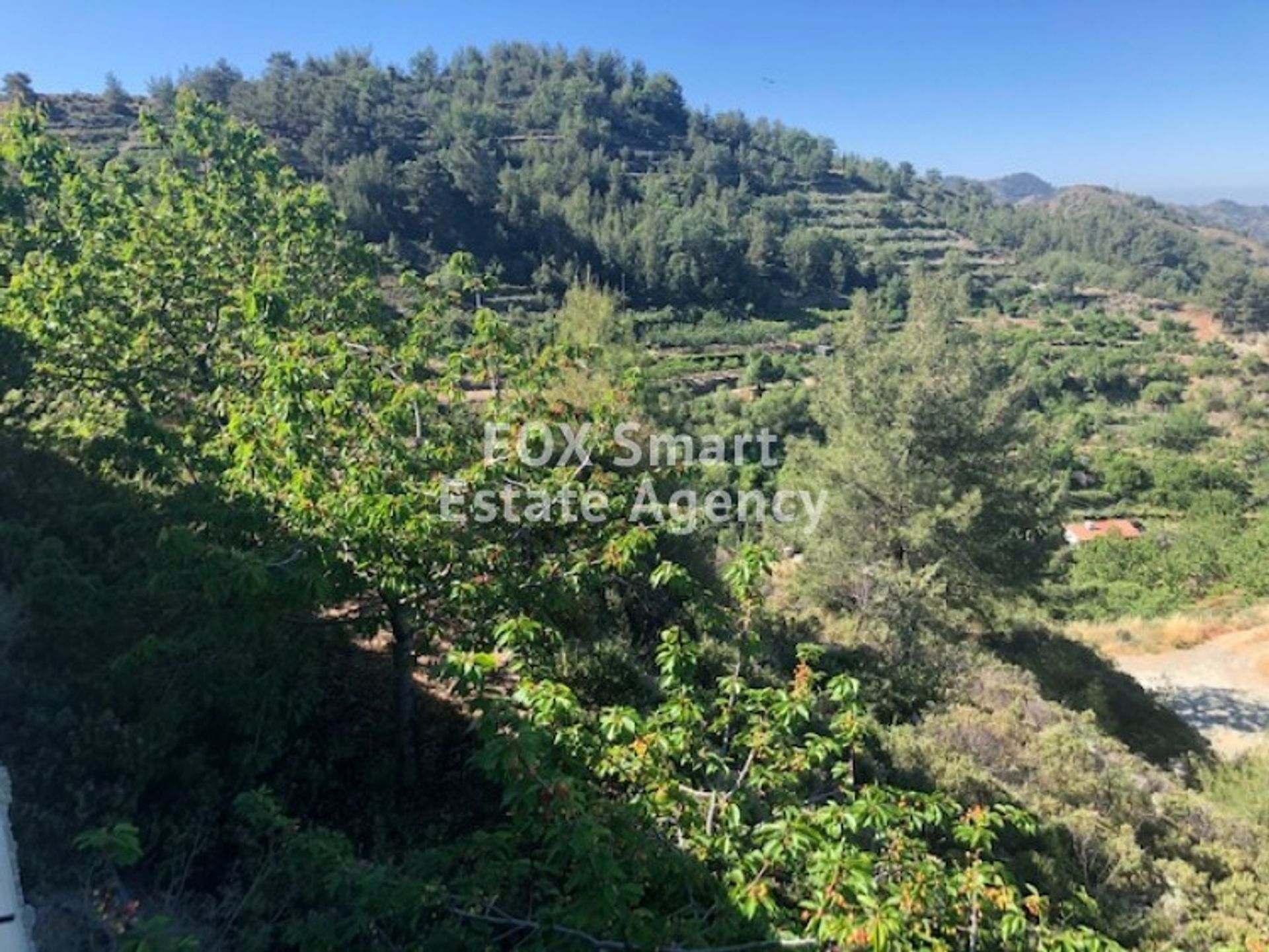 Land in Palodeia, Lemesos 10950456