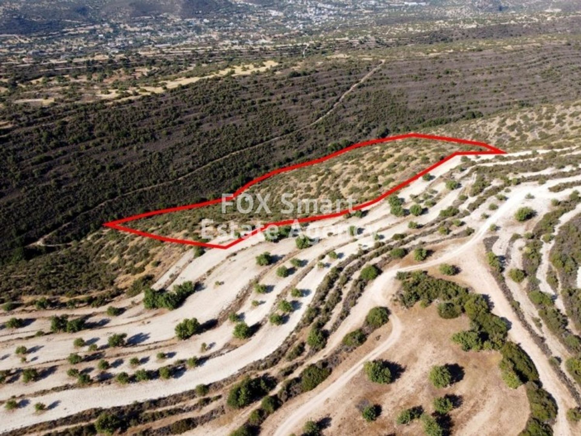 Land in Palodeia, Lemesos 10950762