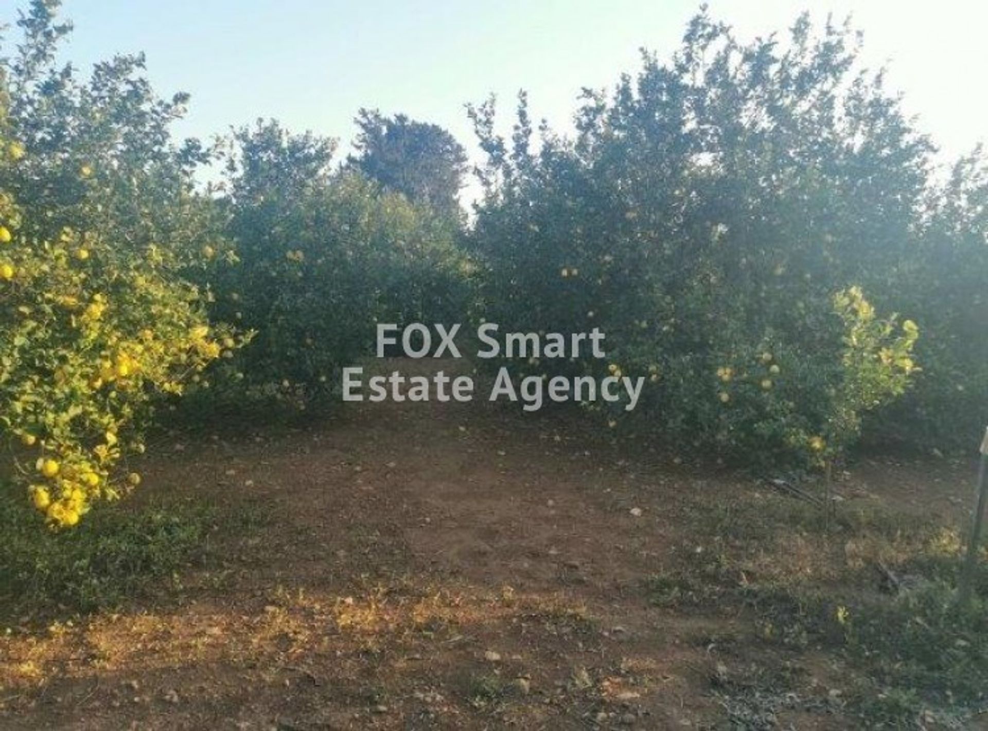 Land in Trachoni, Limassol 10950923