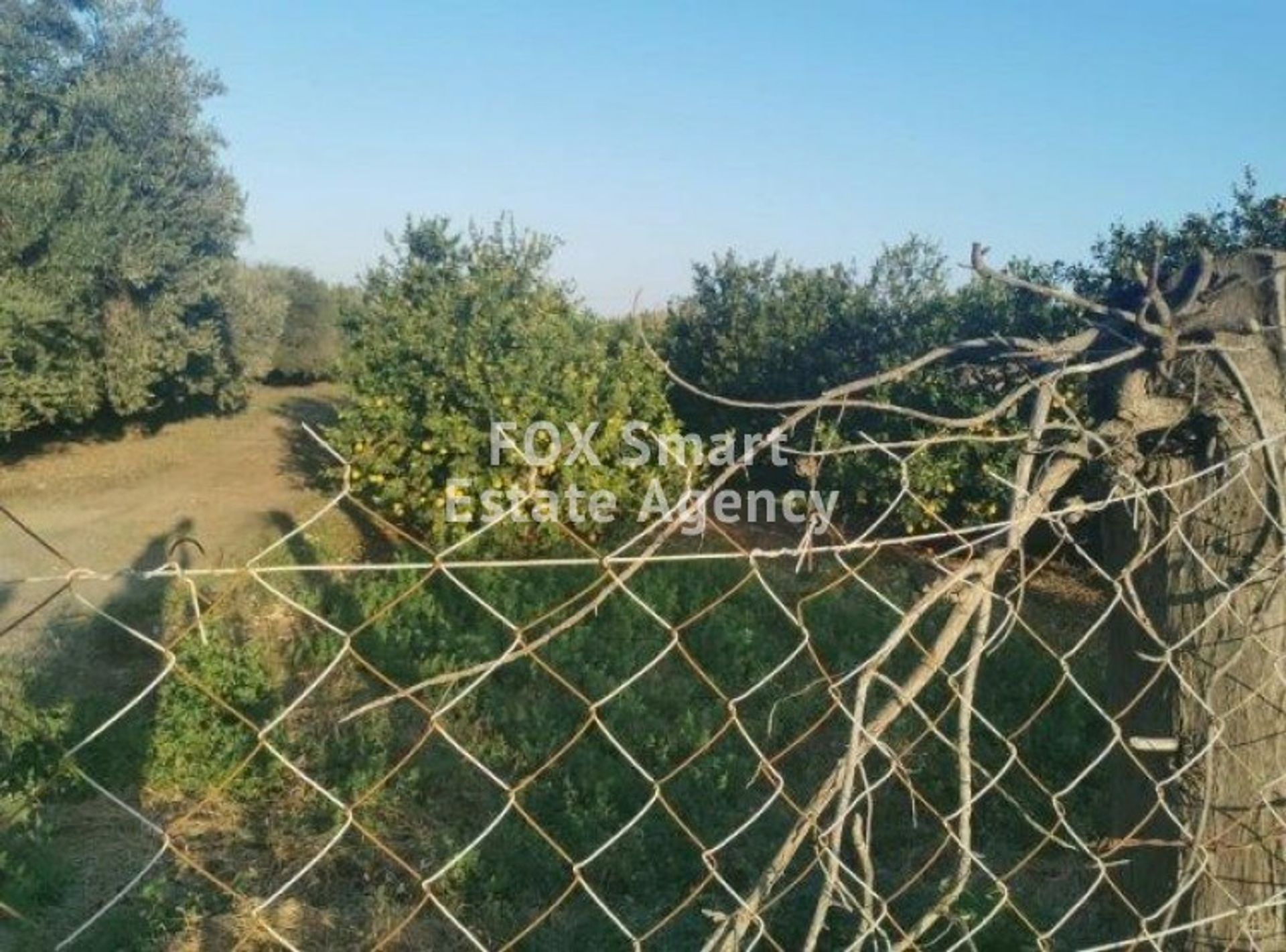 Land in Trachoni, Limassol 10950923