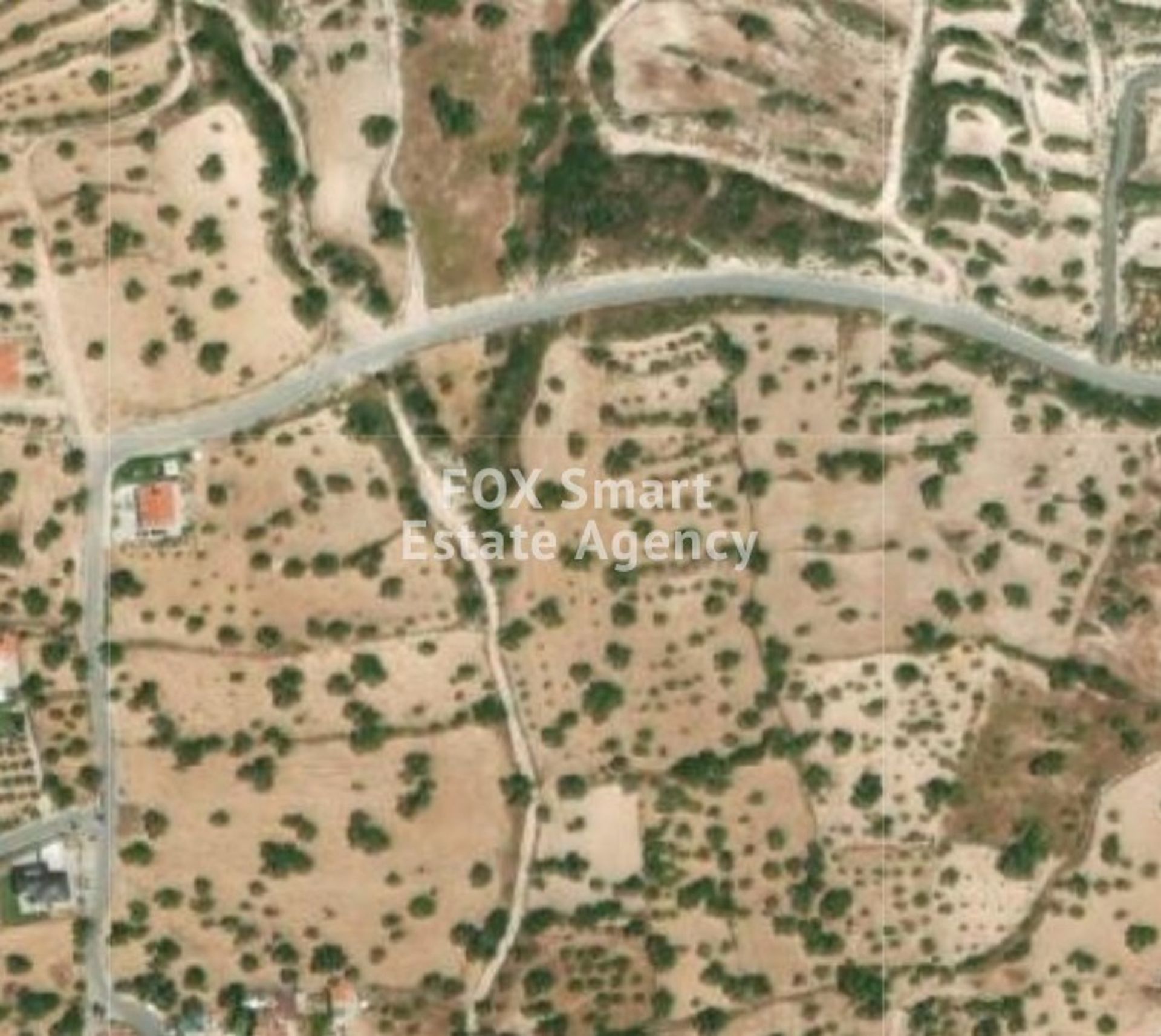 Land im Palodeia, Lemesos 10950974