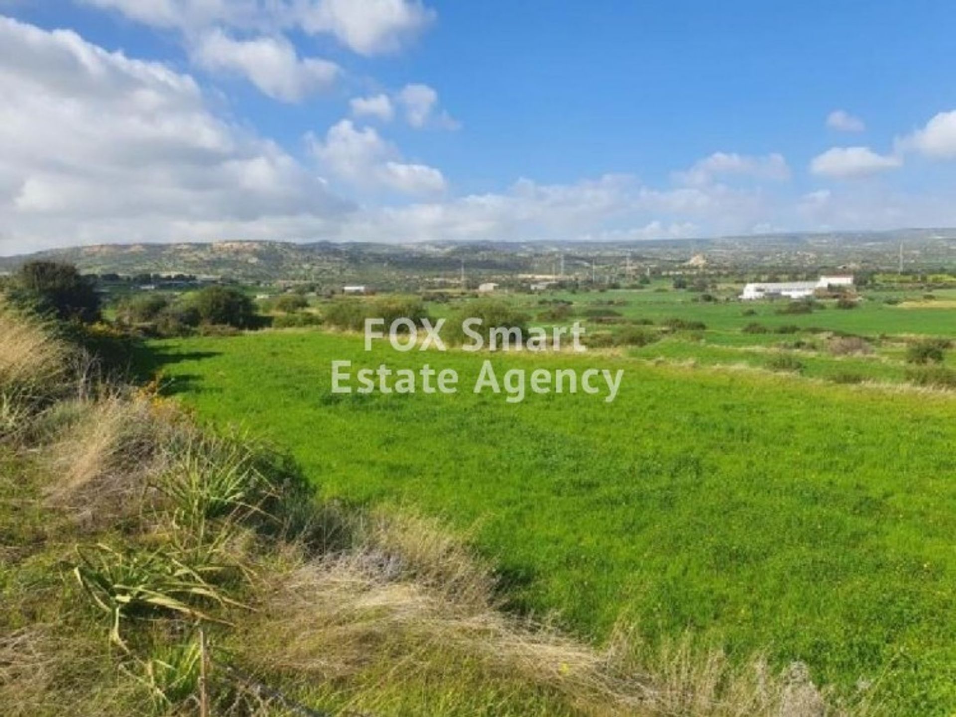 Terra no Pissouri, Limassol 10951006