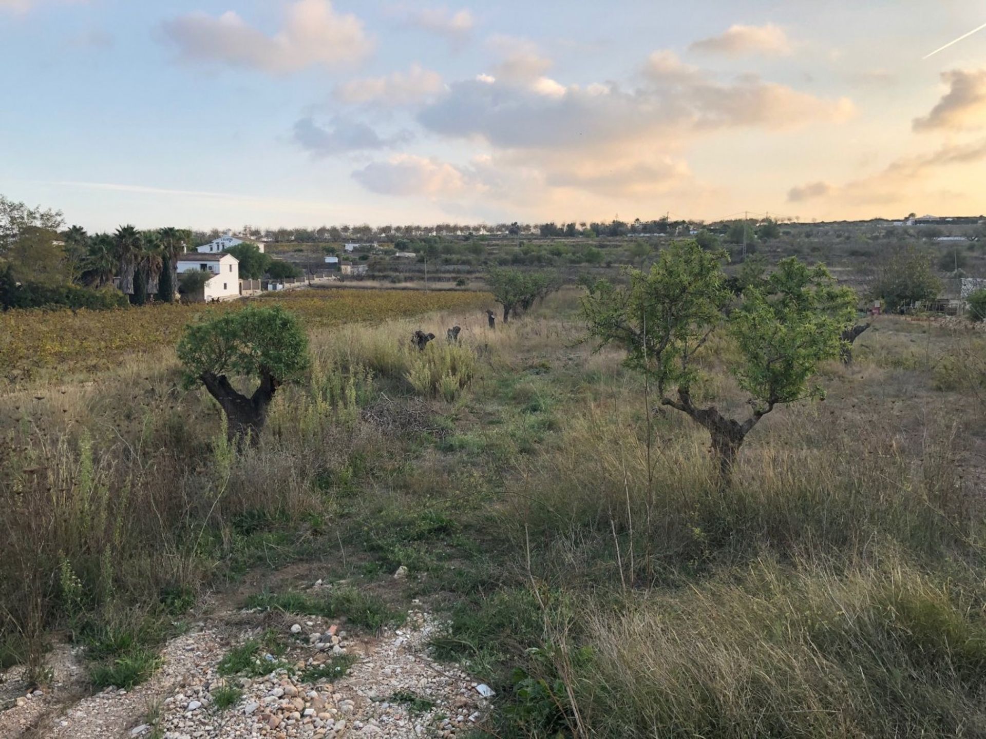 ארץ ב בנימלונט, ולנסיה 10951762