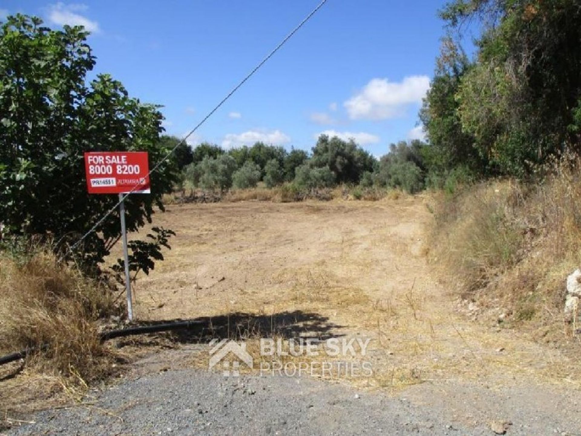 Tierra en mesogi, Pafos 10952121