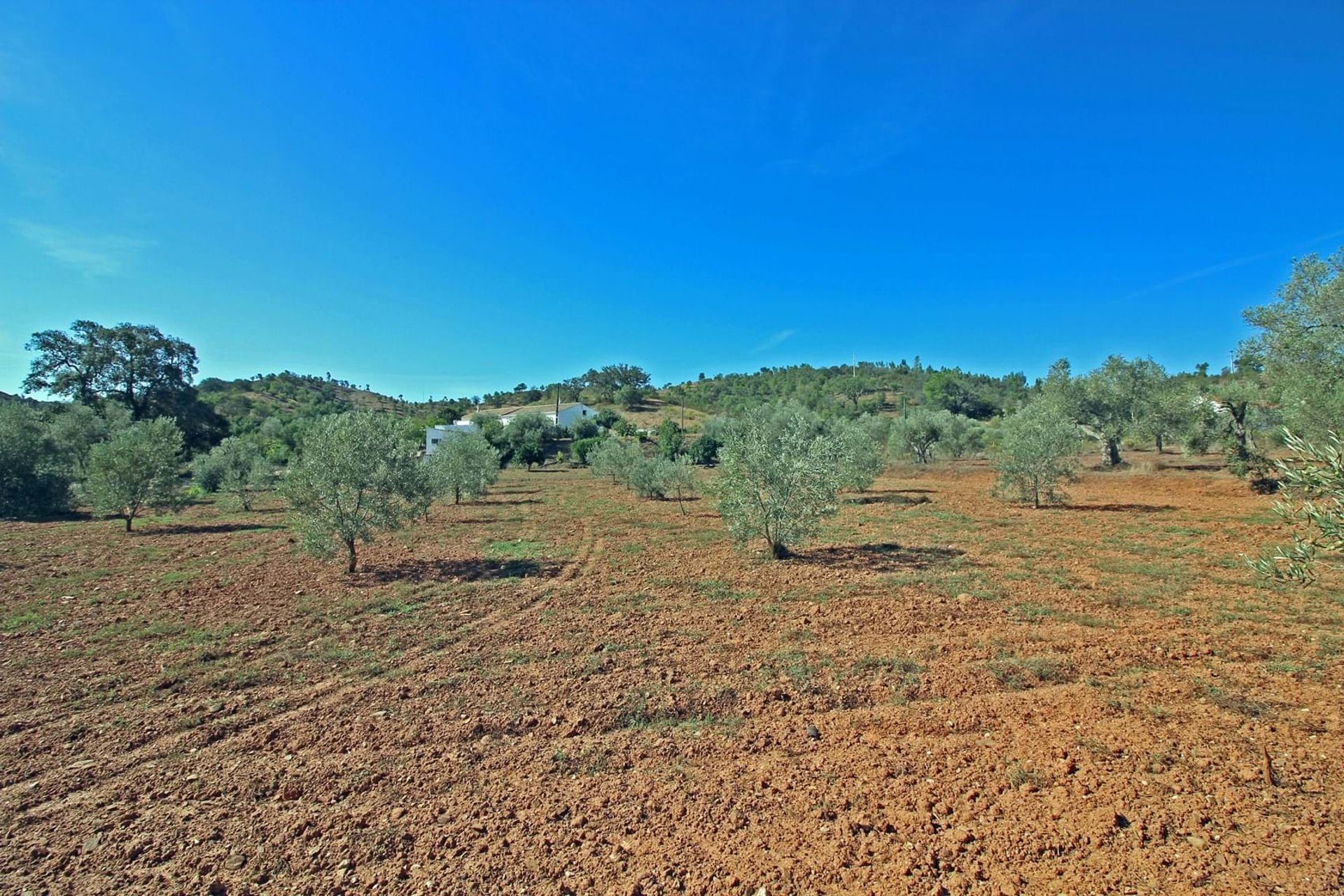 Haus im São Bartolomeu de Messines, Faro 10952134