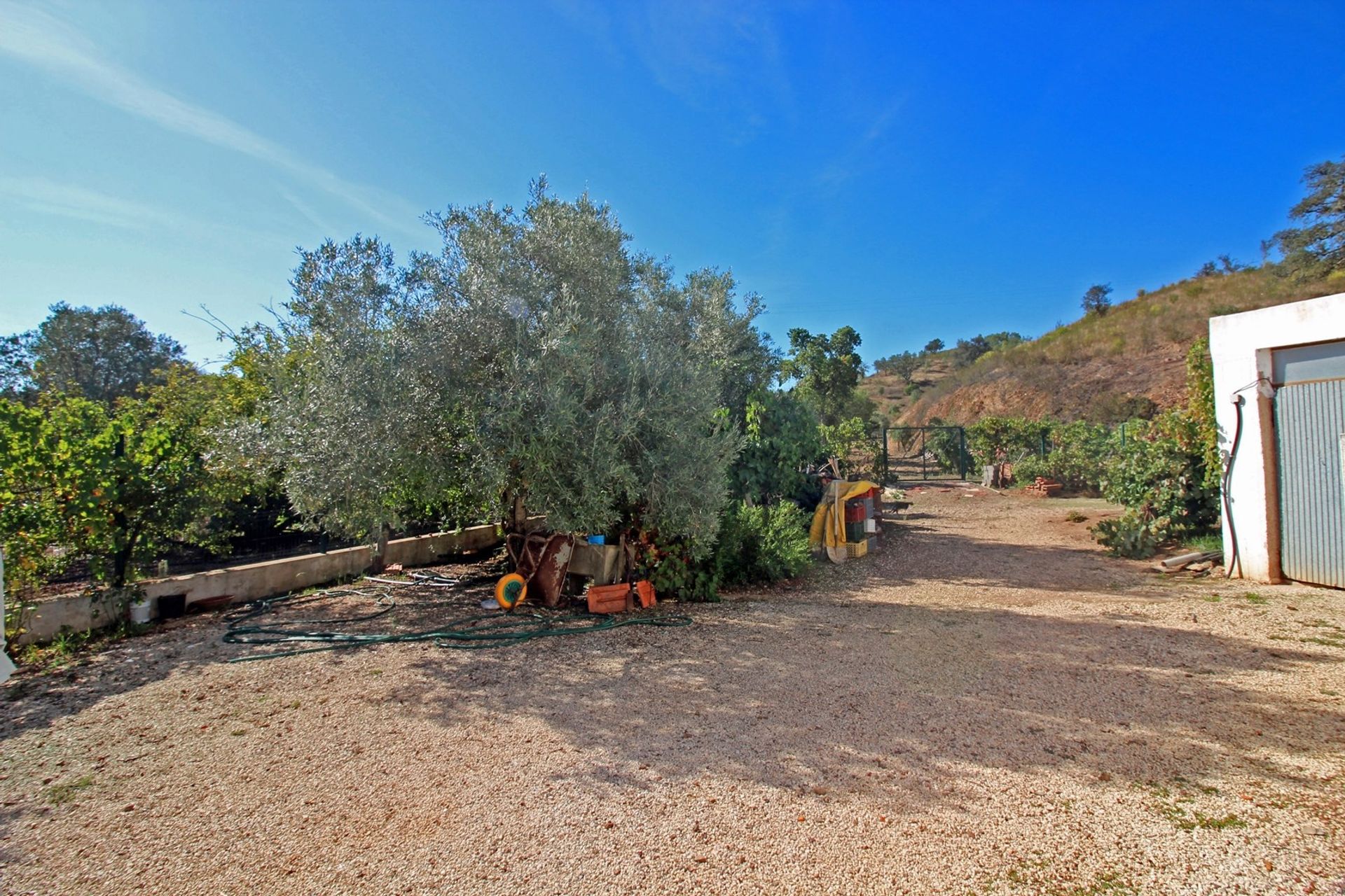 Haus im São Bartolomeu de Messines, Faro 10952134