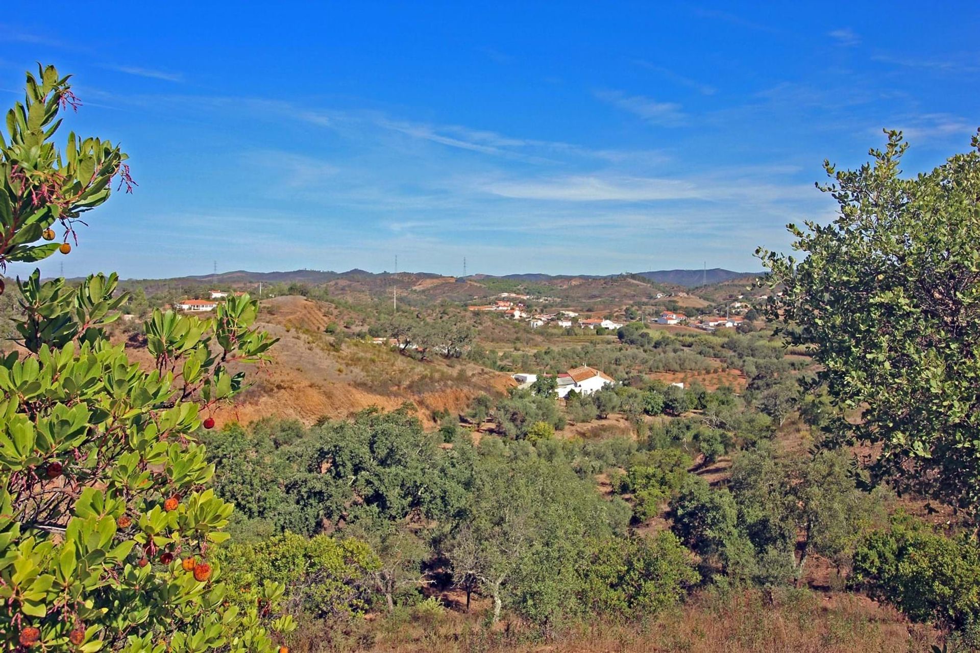 Haus im São Bartolomeu de Messines, Faro 10952134