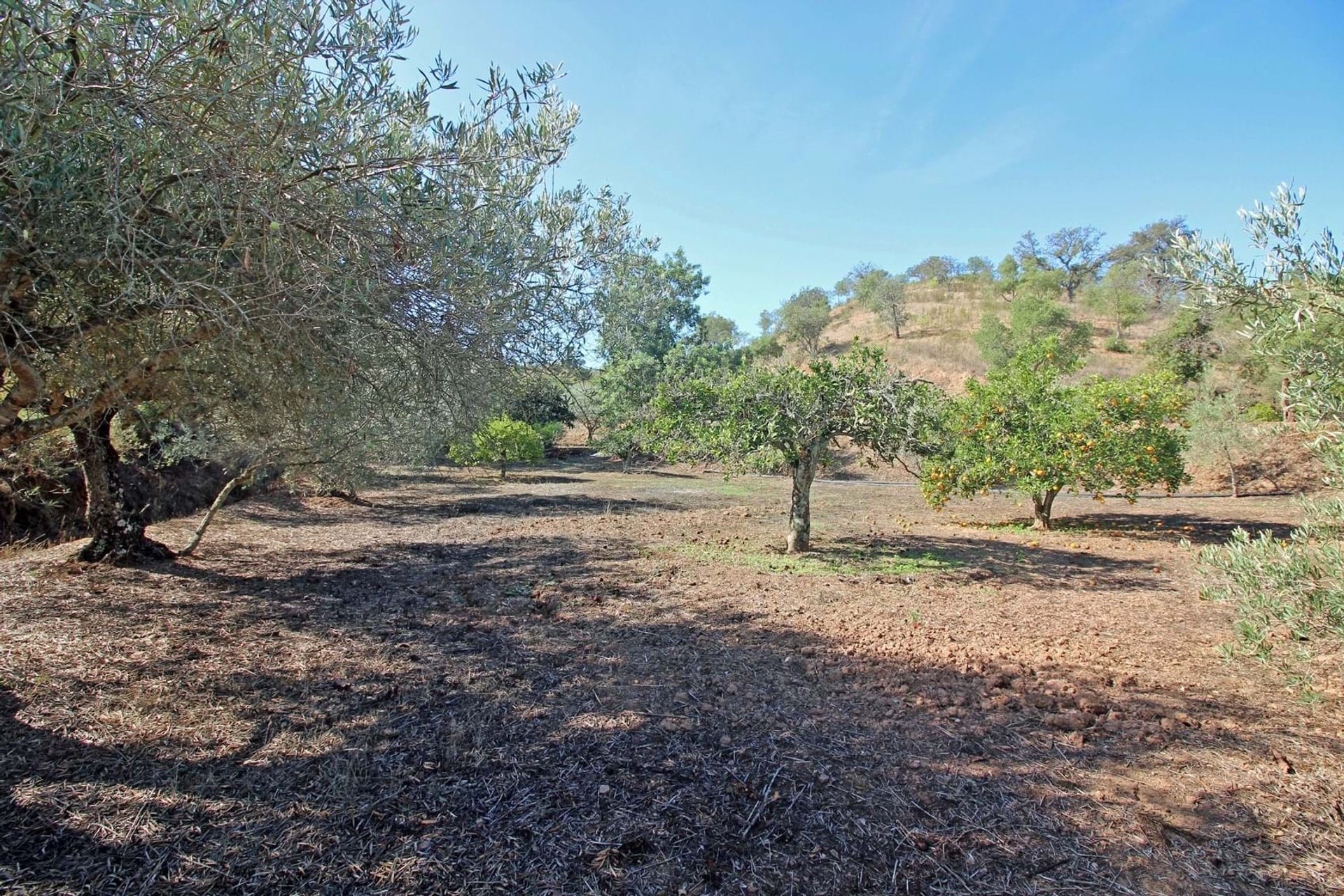 Haus im São Bartolomeu de Messines, Faro 10952134