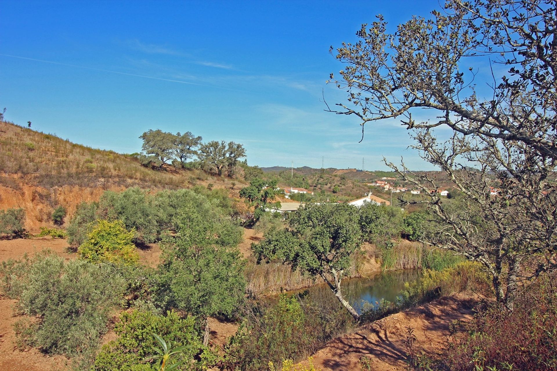 Haus im São Bartolomeu de Messines, Faro 10952134