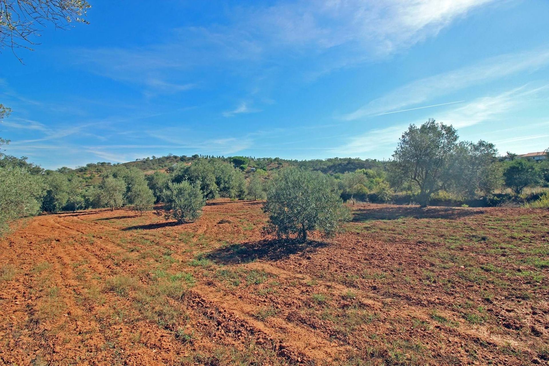 Haus im São Bartolomeu de Messines, Faro 10952134