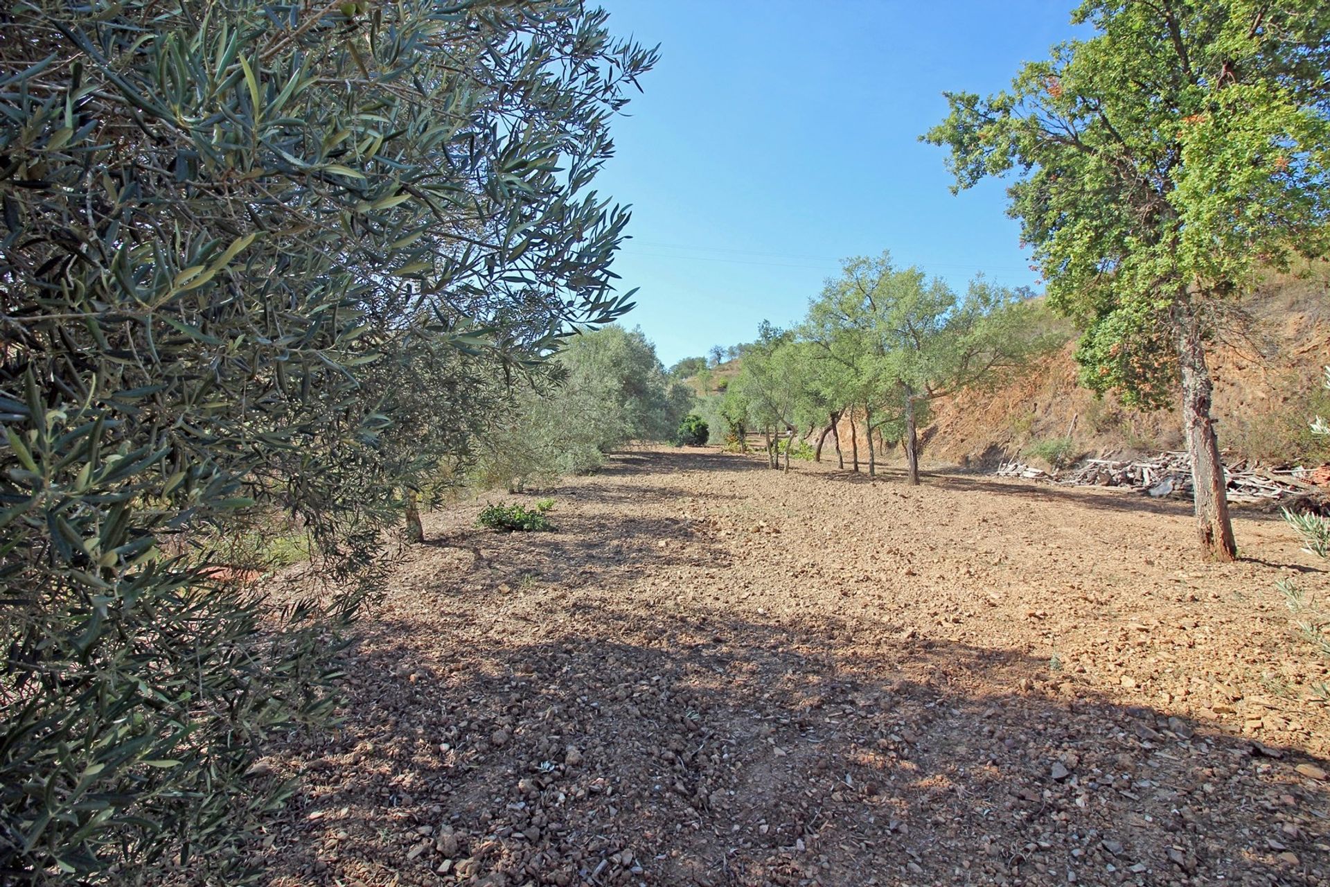 Haus im São Bartolomeu de Messines, Faro 10952134