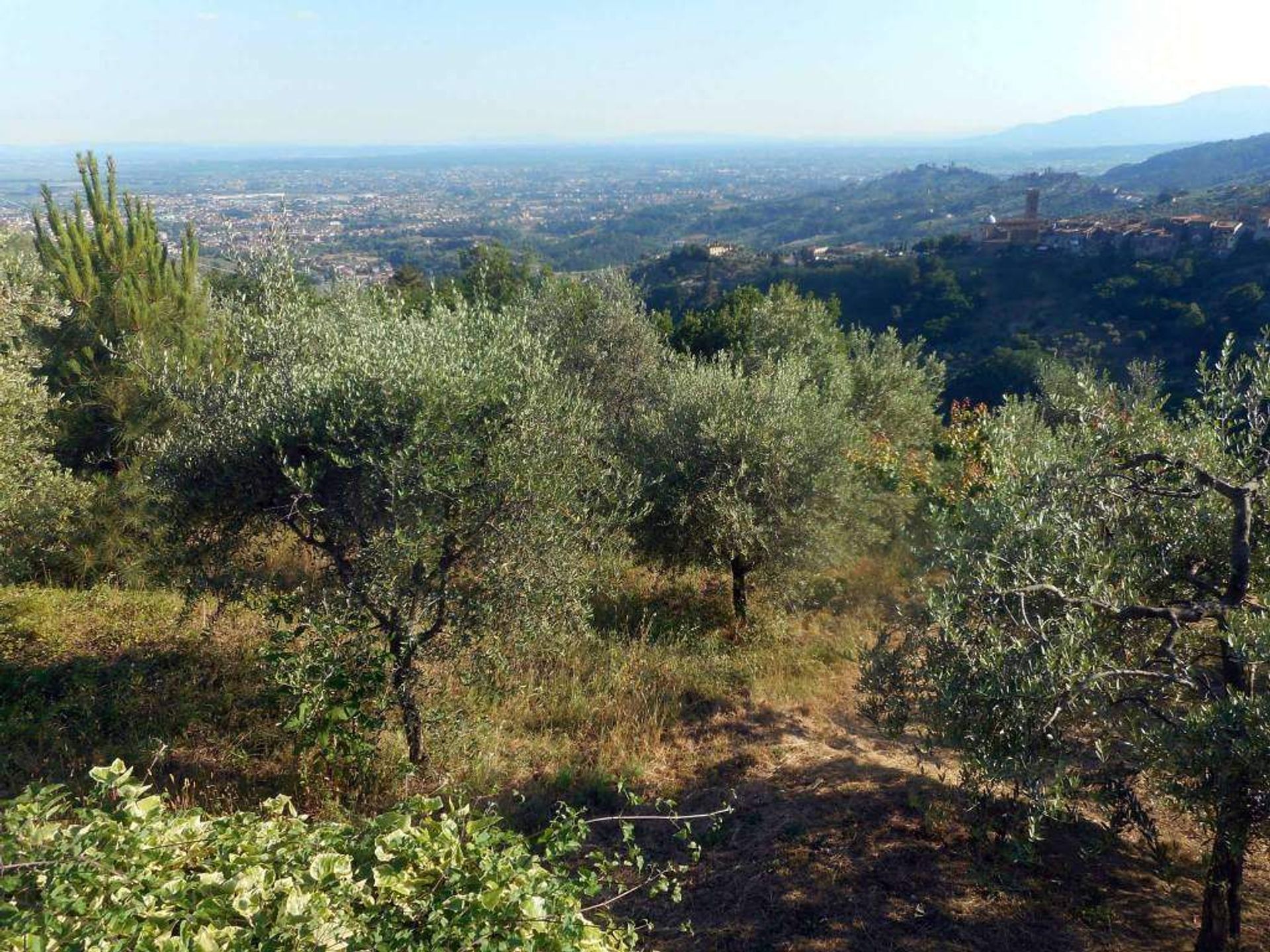 casa en Massa, Toscana 10952521