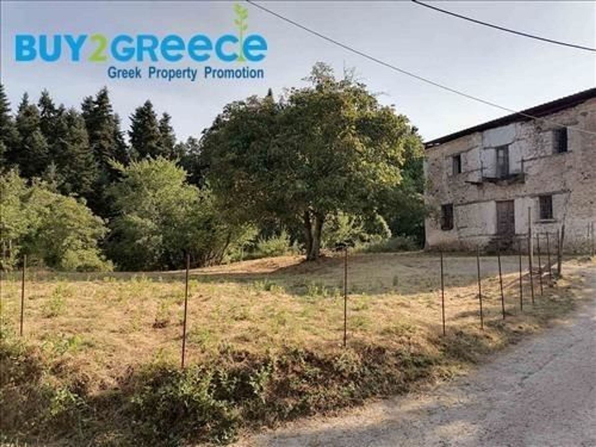 Land in Pavliani, Sterea Ellada 10952552