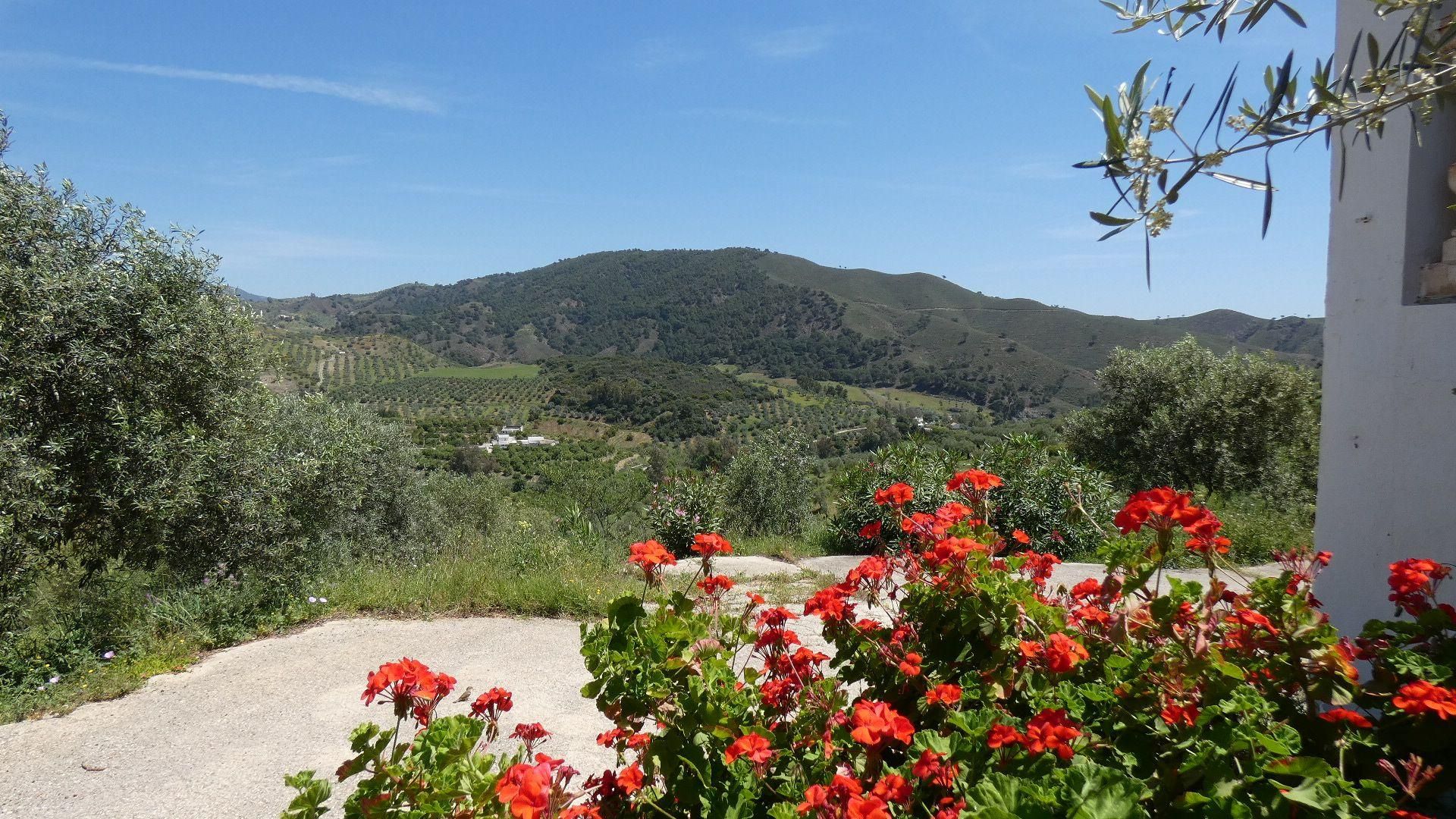 Casa nel Casarabonela, Andalusia 10952819