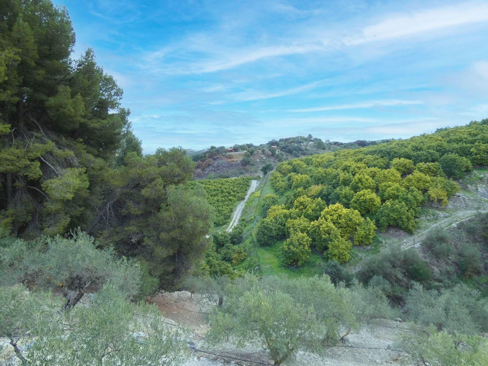 Hus i Coín, Andalucía 10952831