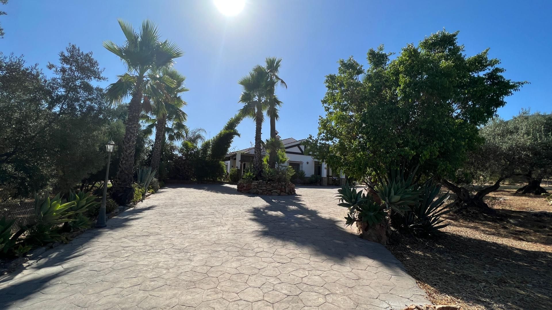 House in Alhaurín de la Torre, Andalucía 10952832