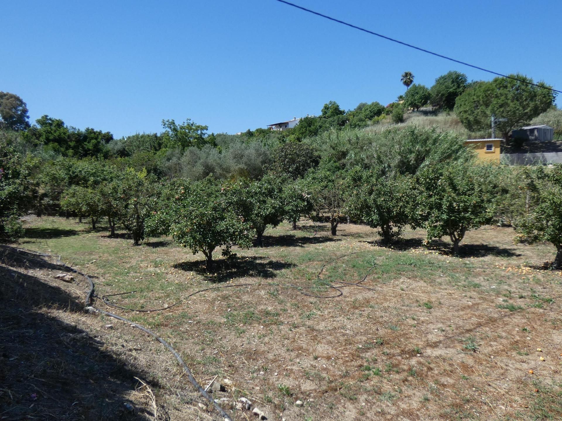 rumah dalam Alhaurín el Grande, Andalucía 10952862