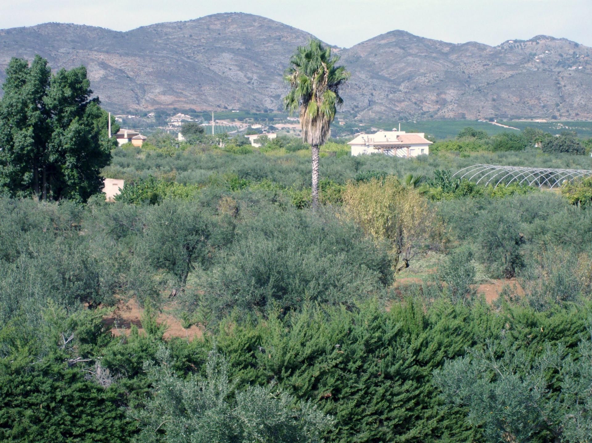 loger dans , Andalucía 10952900