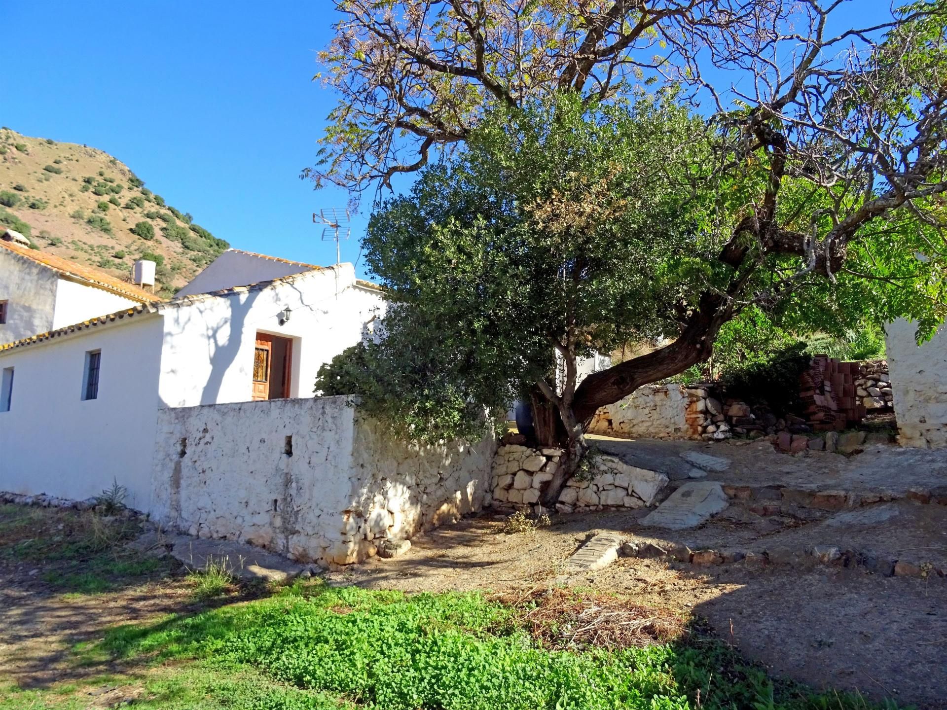 Hus i Almogia, Andalusia 10952912