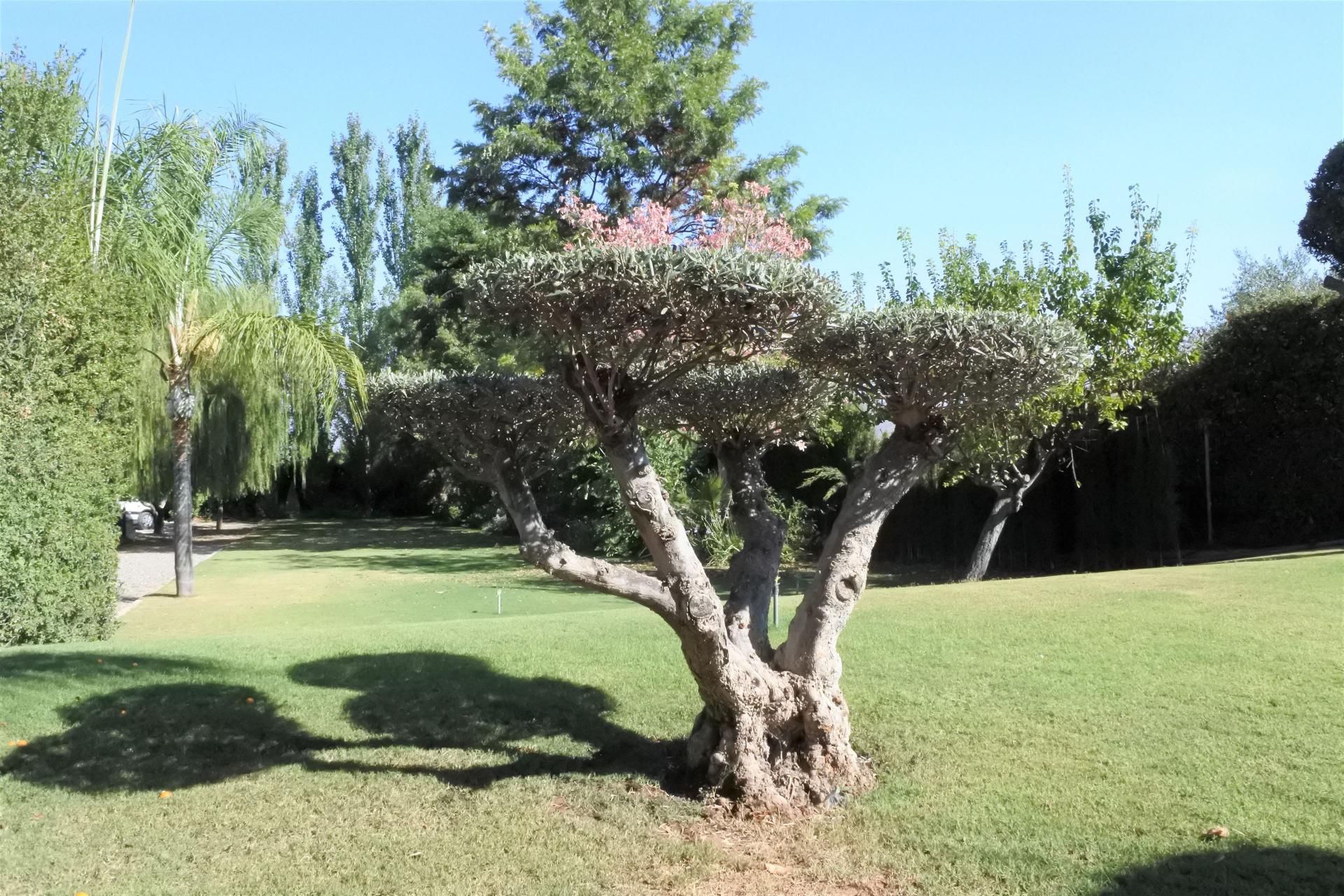 집 에 Alhaurín el Grande, Andalucía 10952919