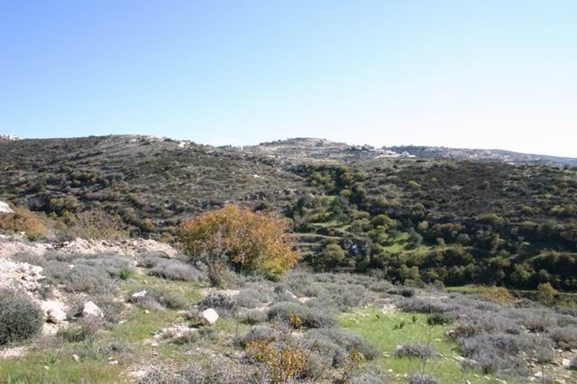 Terre dans Paphos, Paphos 10954728