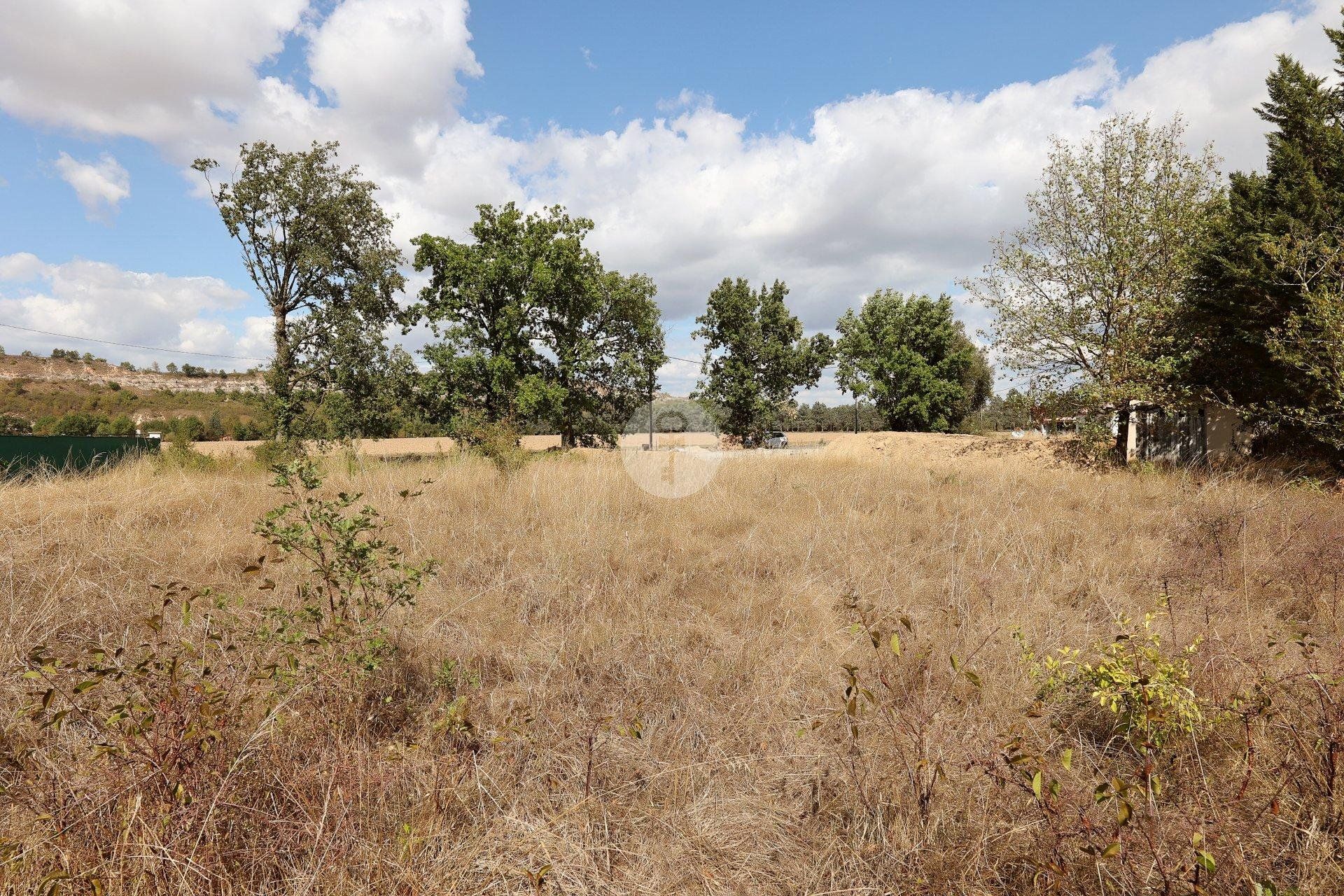 Terra no Albi, Occitanie 10956123