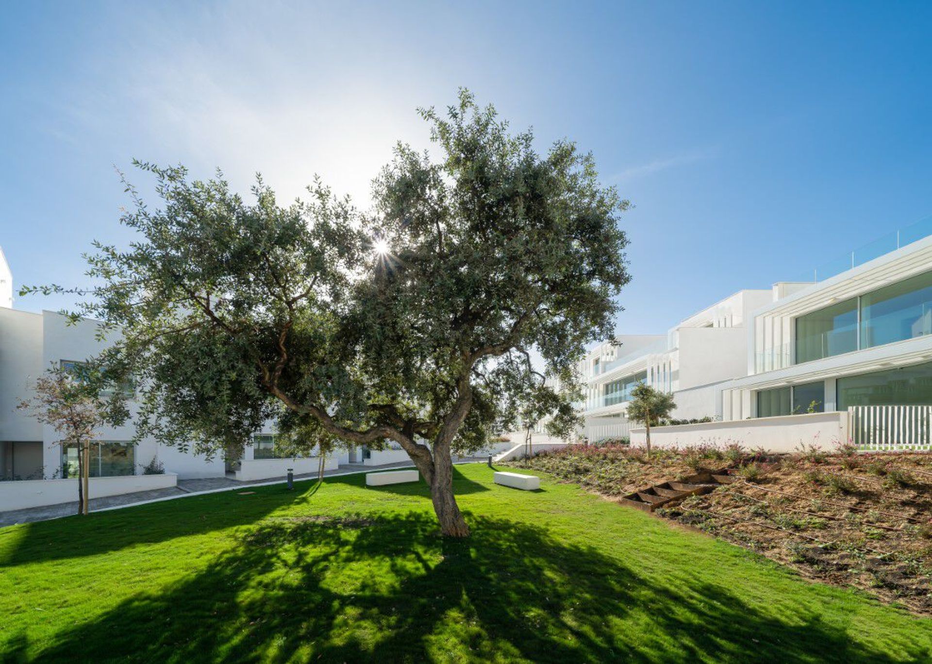 House in San Roque, Andalucía 10958682