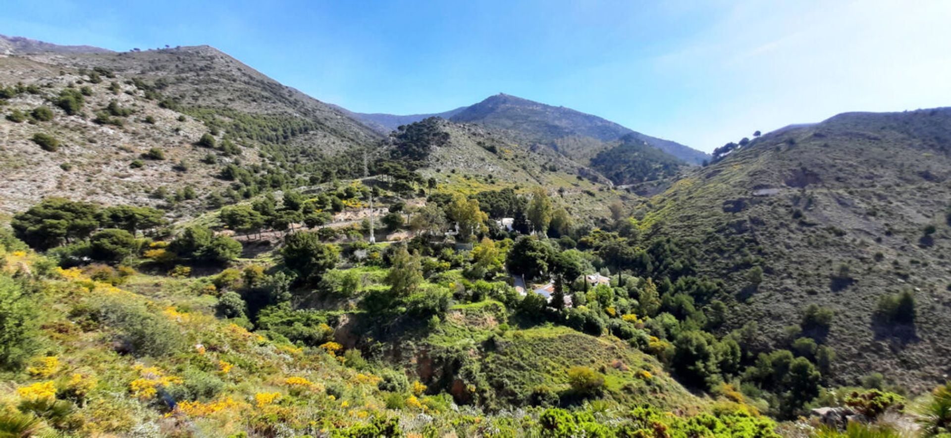 Terre dans Mijas, Andalousie 10958819