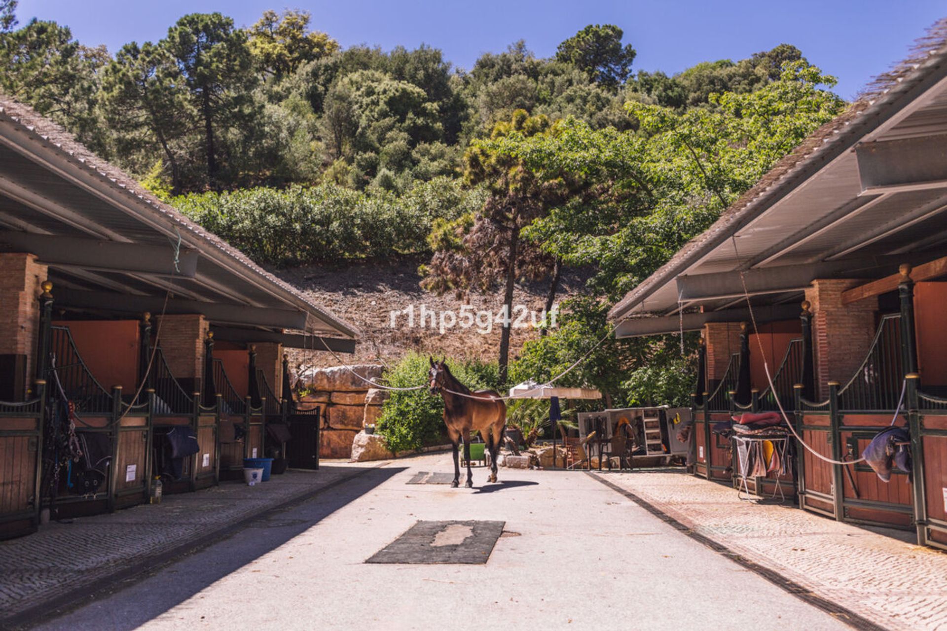 Terre dans Benahavís, Andalousie 10958919